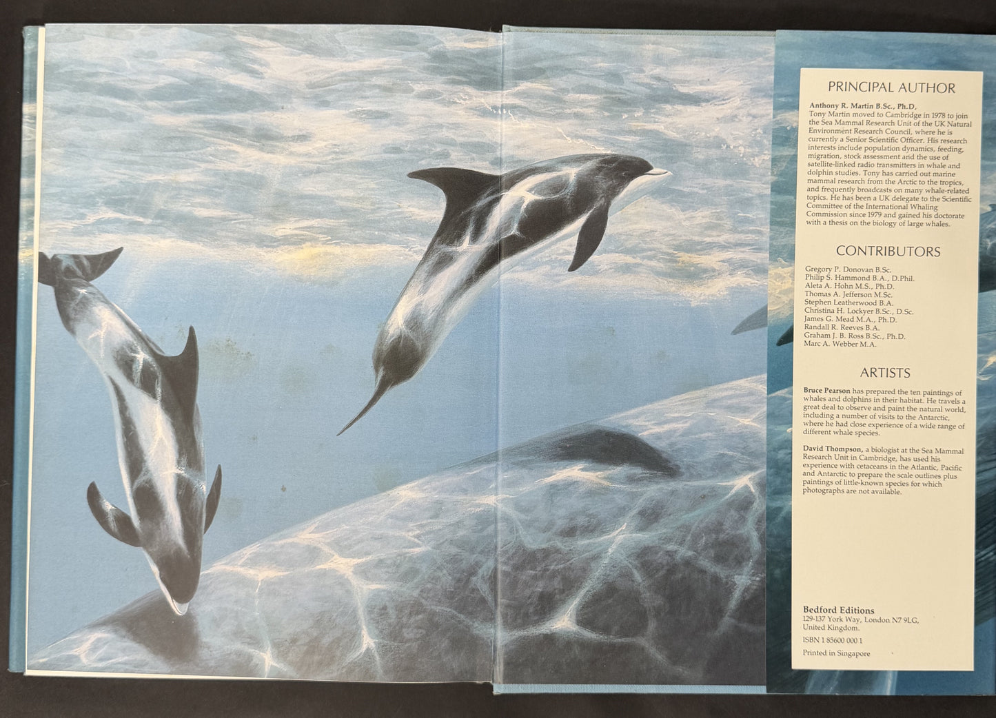 My Nature Craft Book by Cheryl Owen
