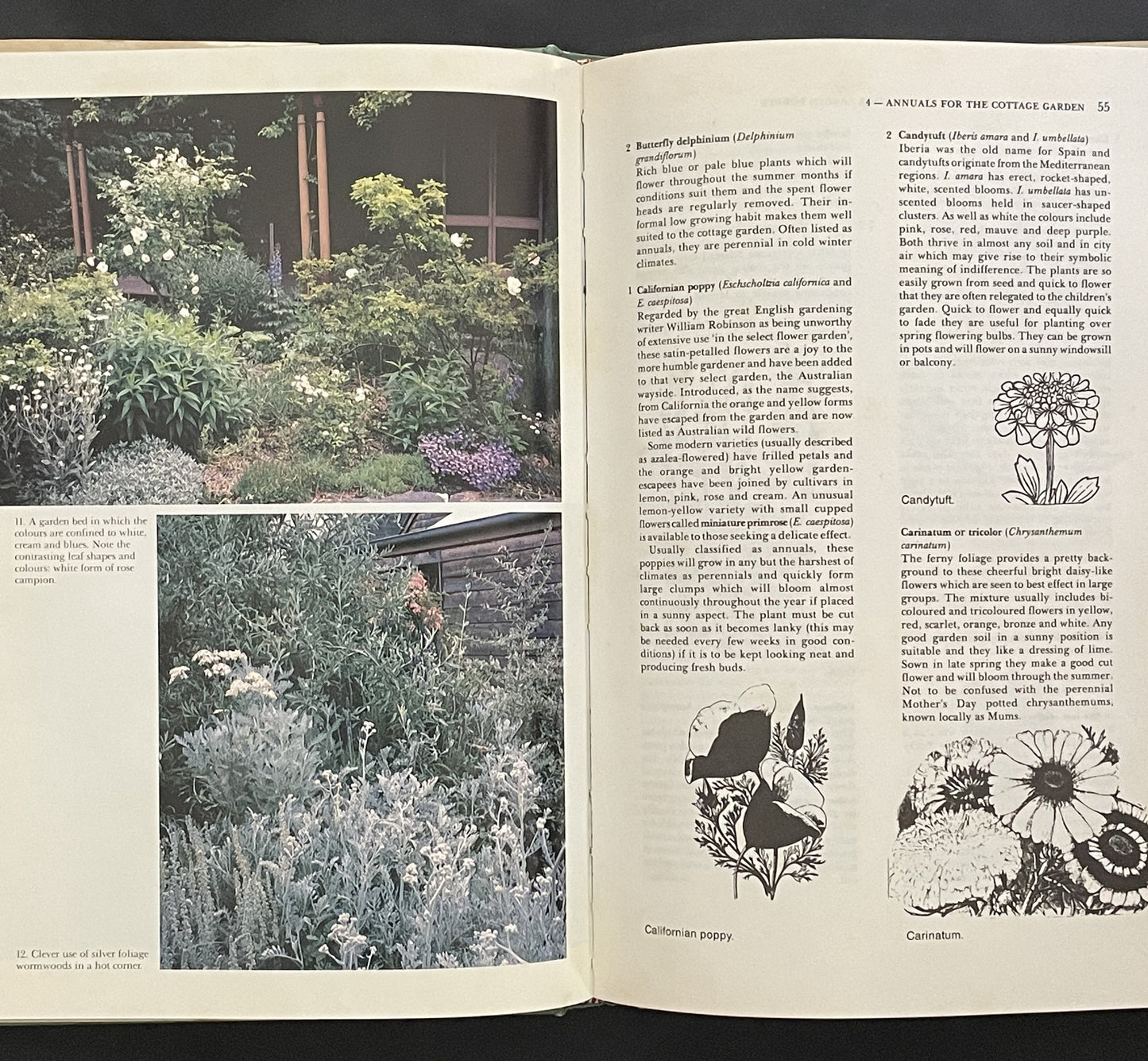 Flowers for the Australian Cottage Garden Border by Sarah Guest