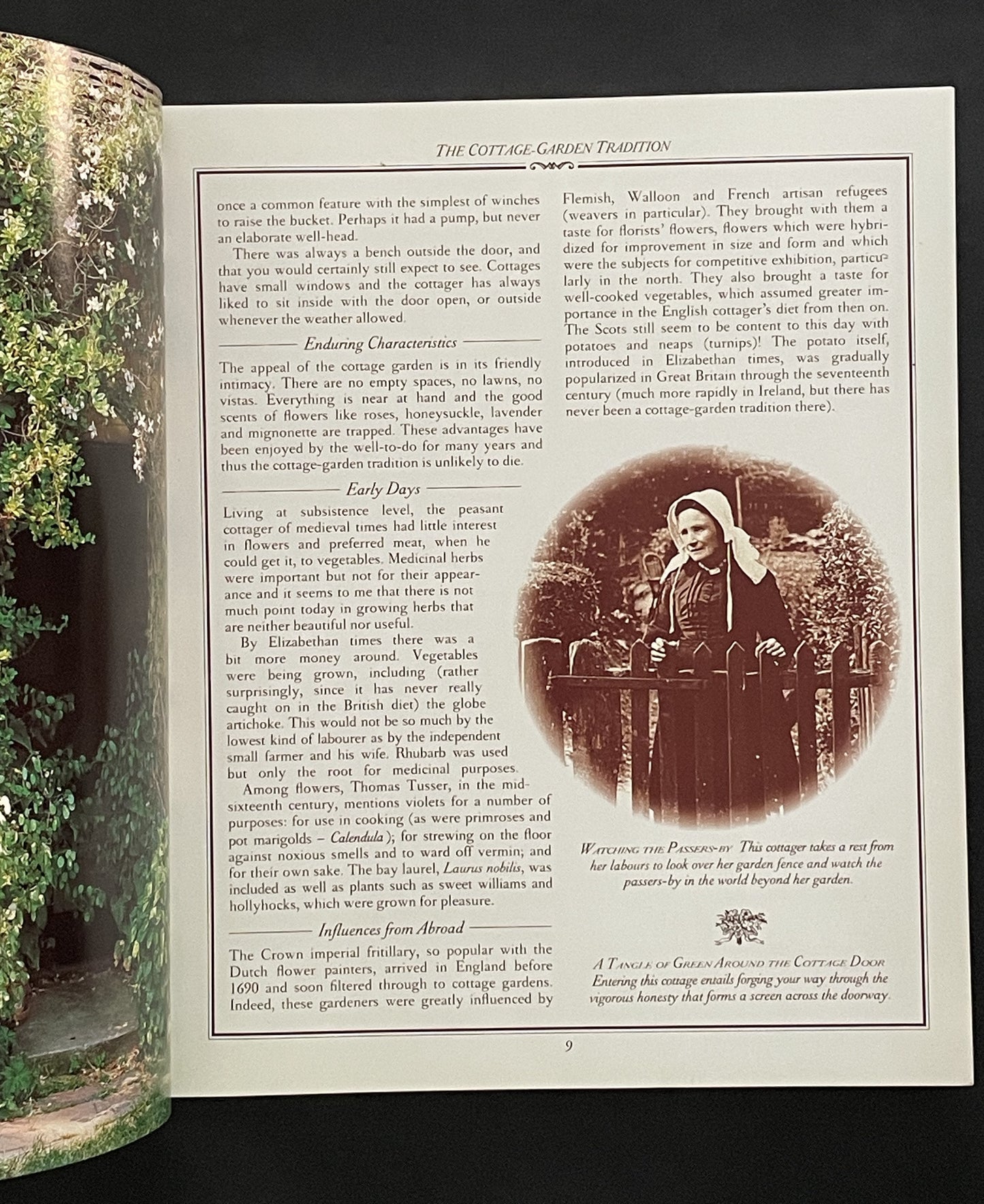 The Cottage Garden by Christopher Lloyd, Richard Bird