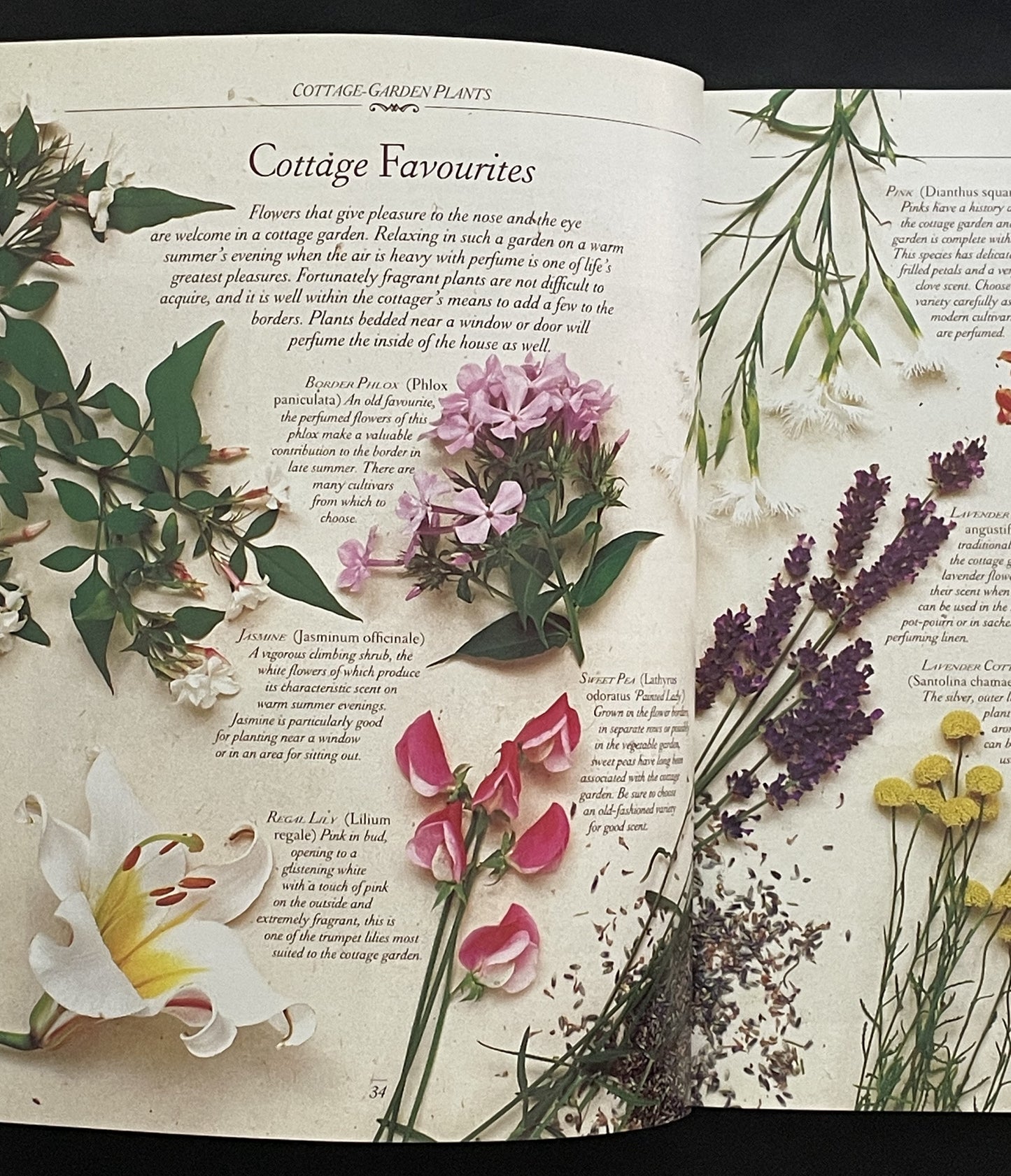 The Cottage Garden by Christopher Lloyd, Richard Bird