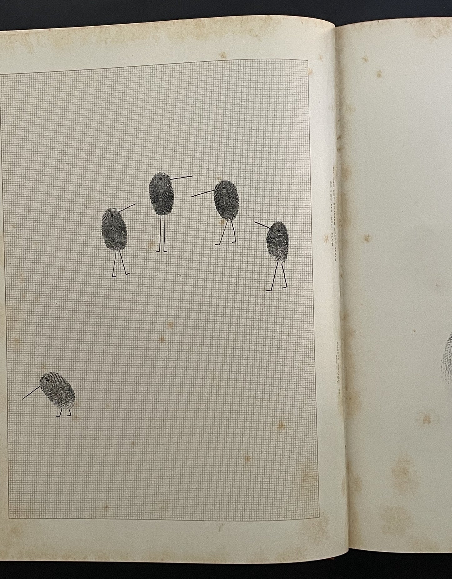 The Passport by Saul Steinberg