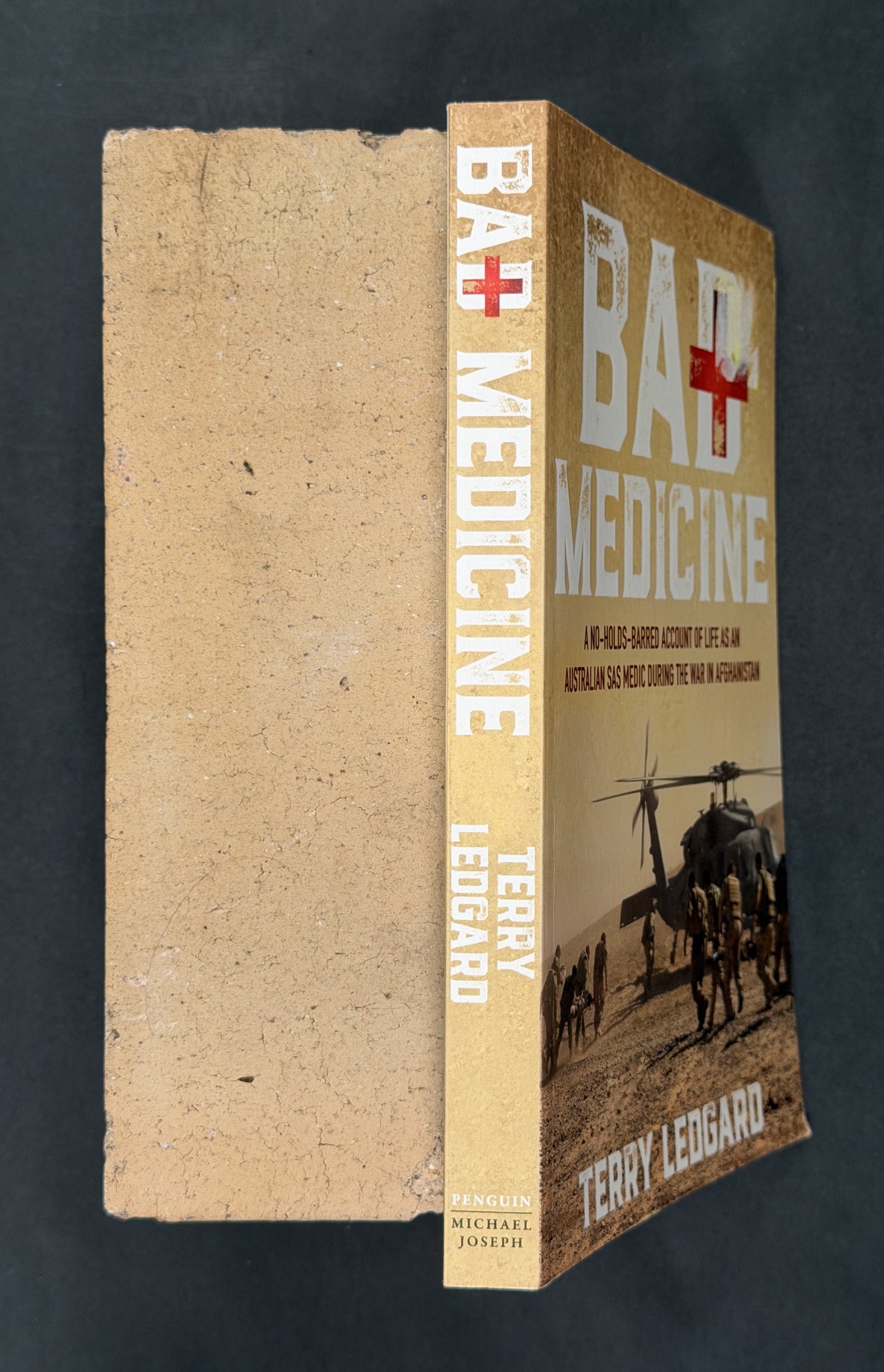Bad Medicine by Terry Ledgard