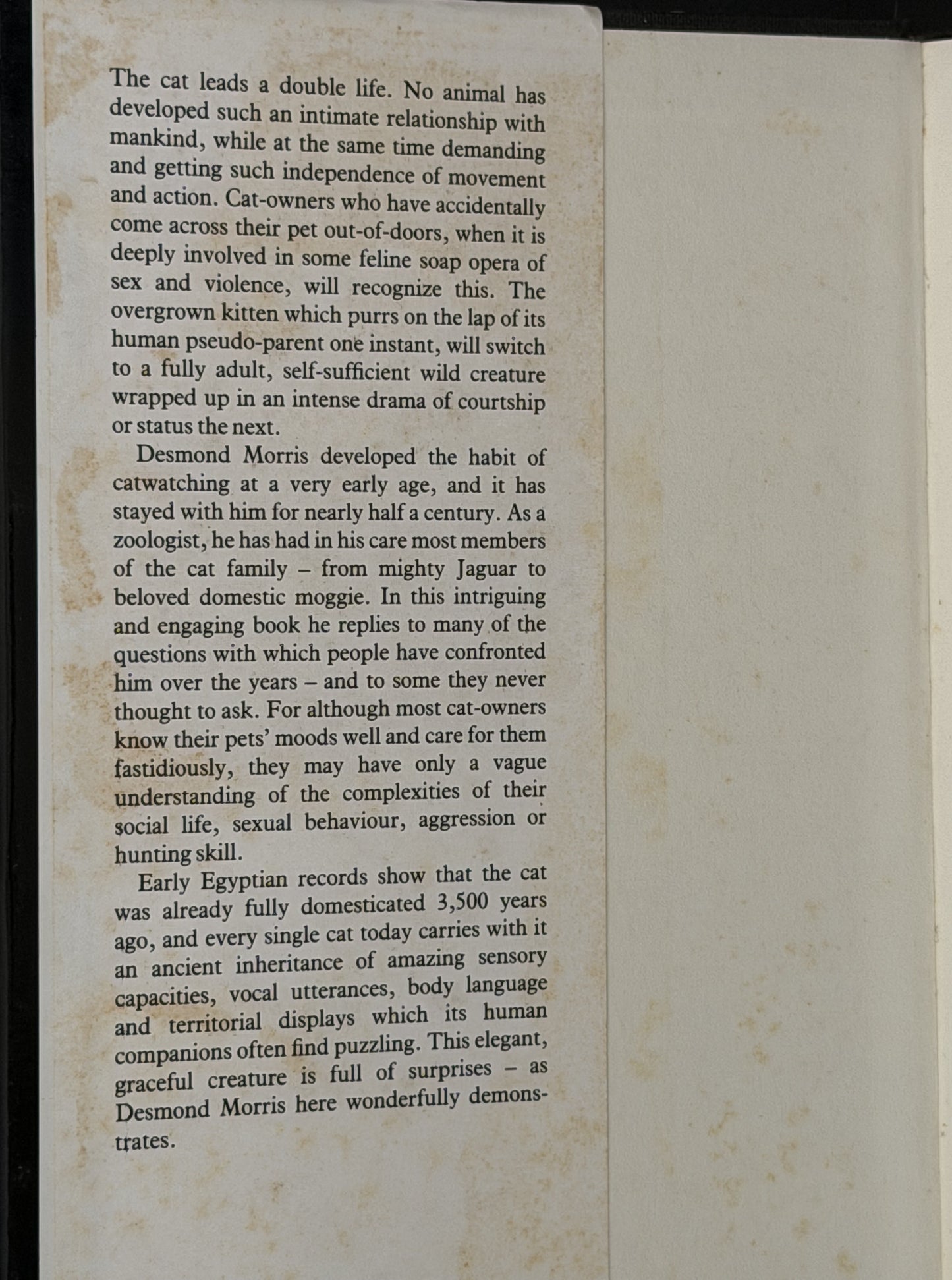 Catwatching by Desmond Morris