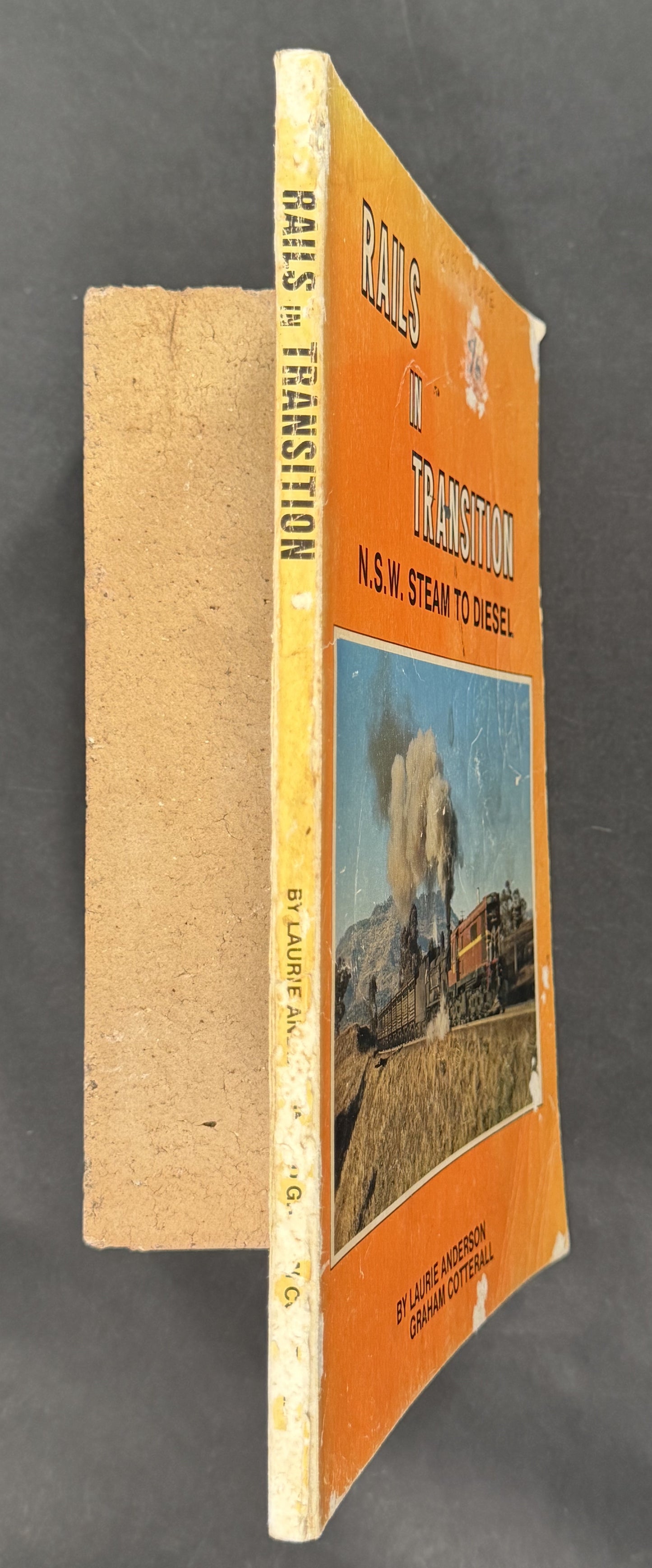 Rails in Transition by Laurie Anderson, Graham Cotterall