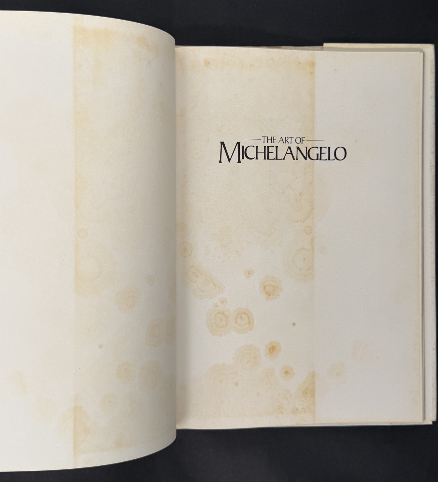 The Art of Michelangelo by Nathaniel Harris