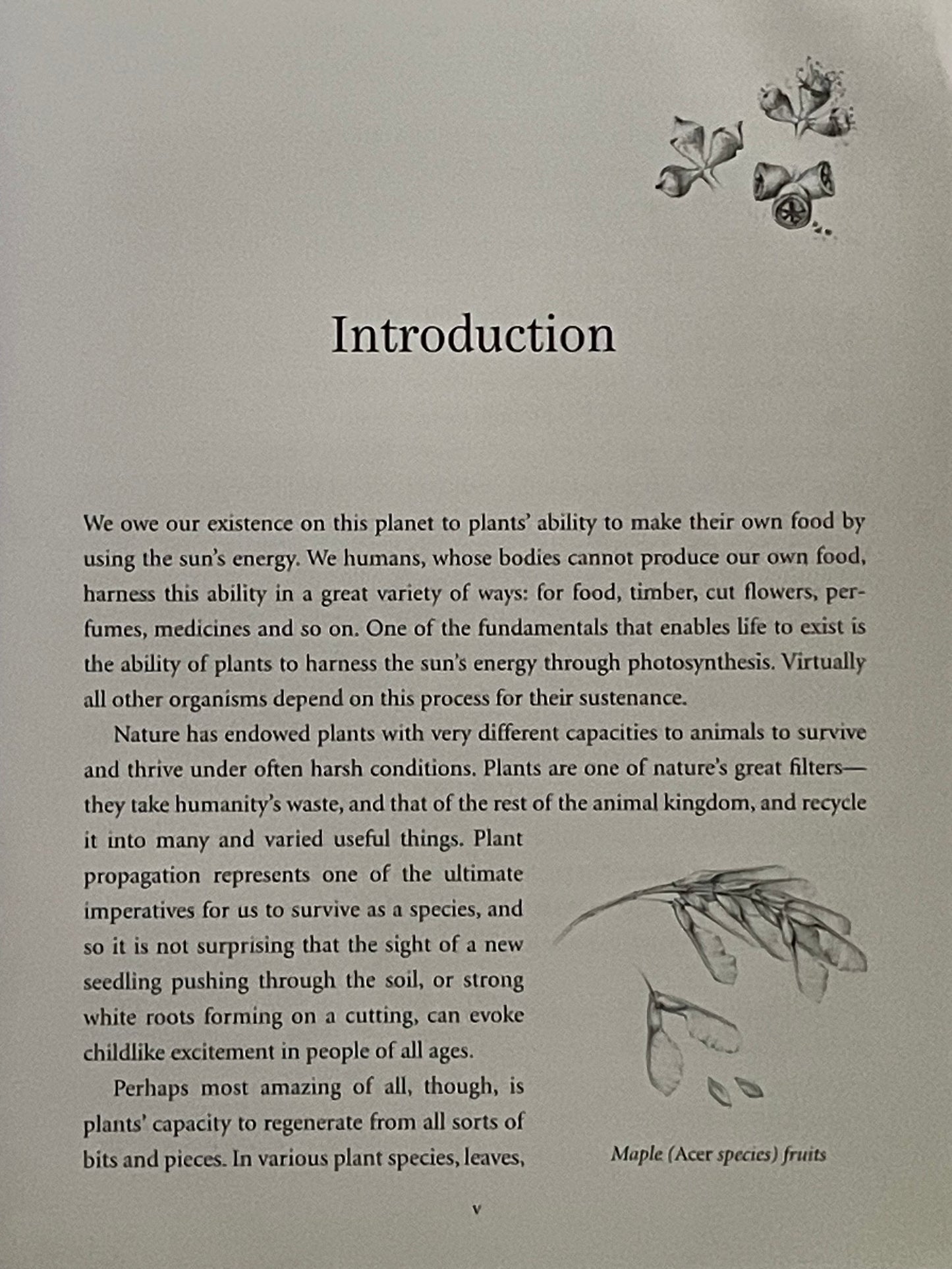 Let's Propagate! by Angus Stewart