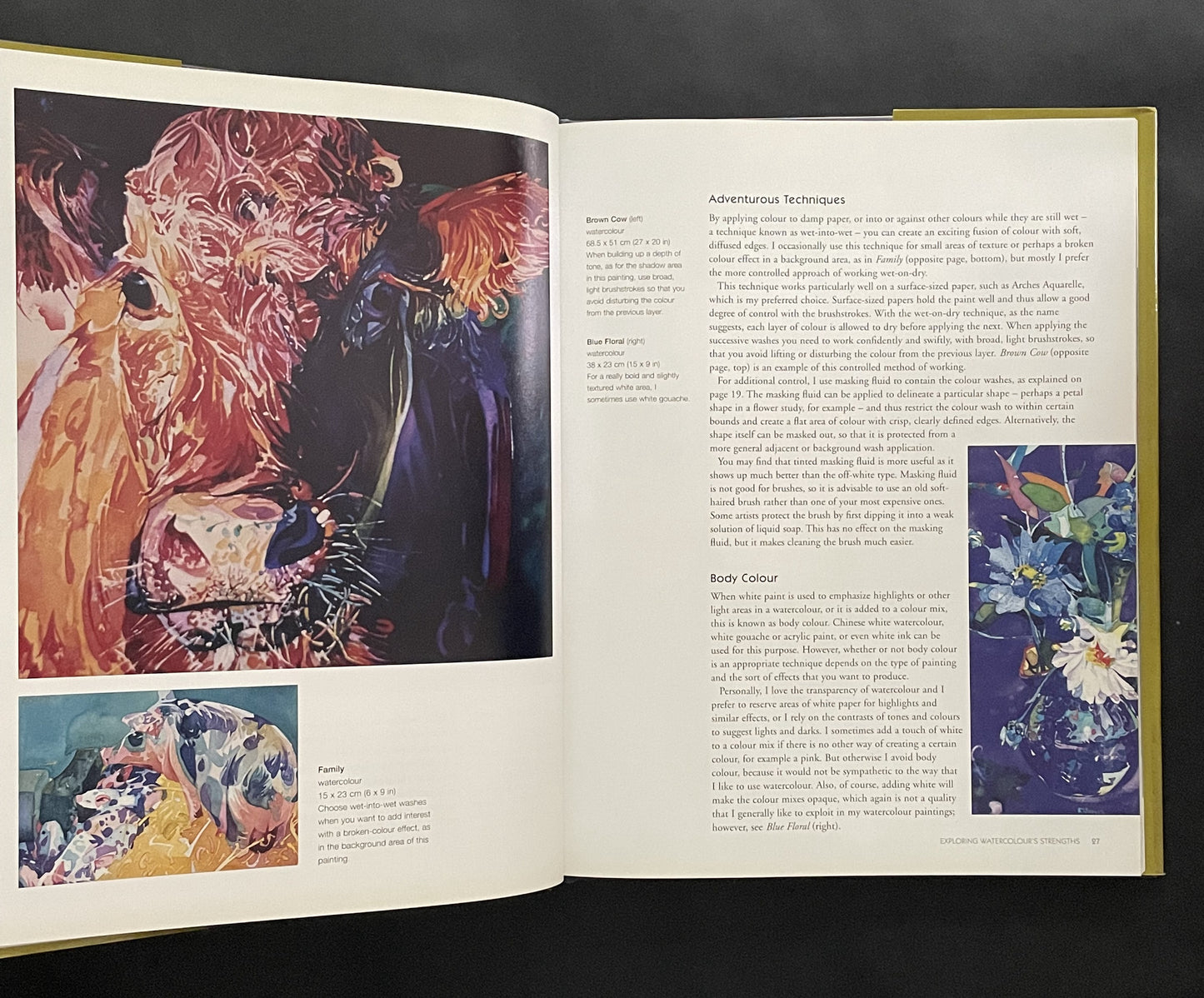 Design and Colour in Watercolour by Michelle Scragg, Robin Capon