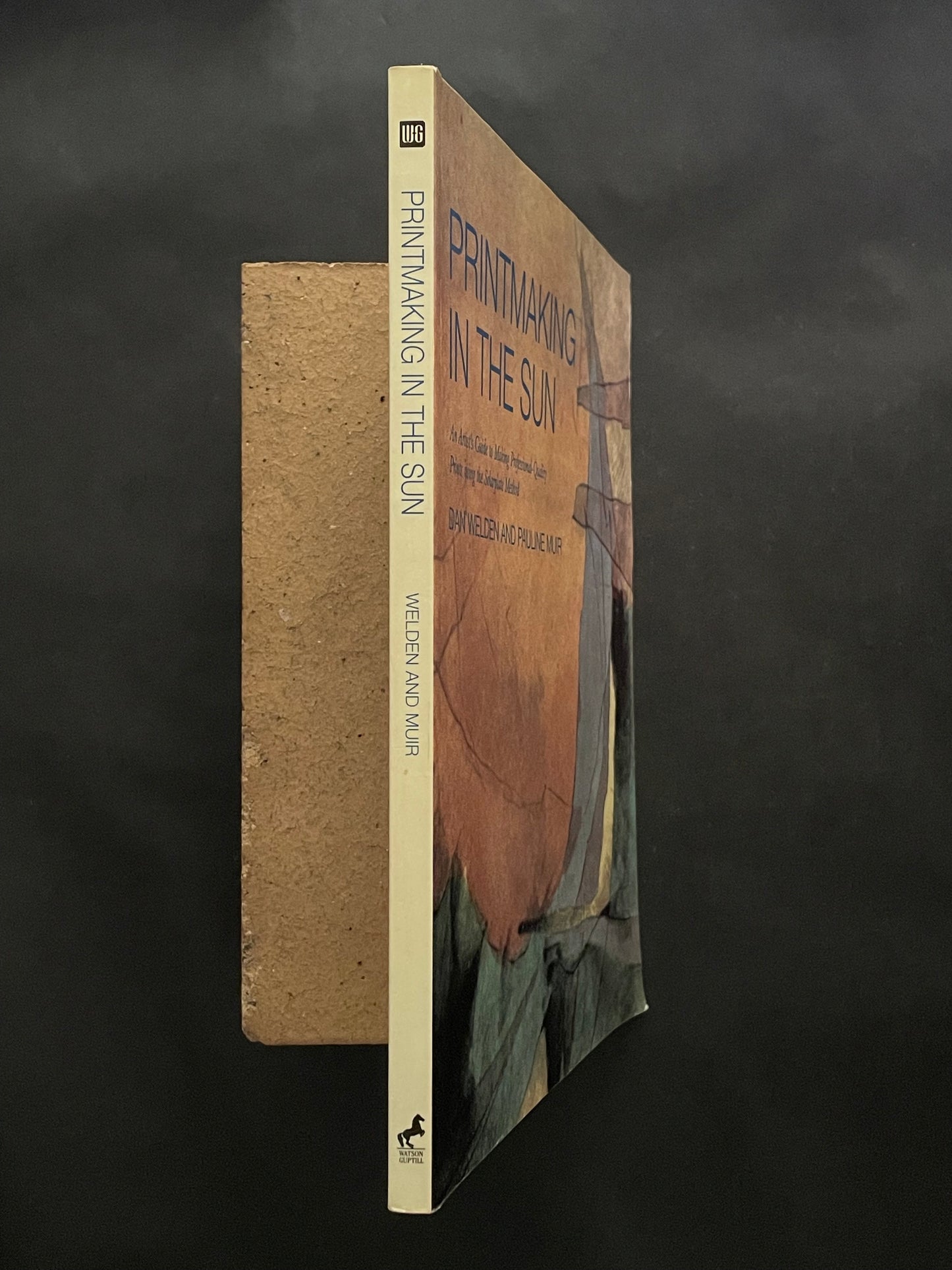 Printmaking in the Sun by Dan Welden, Pauline Muir