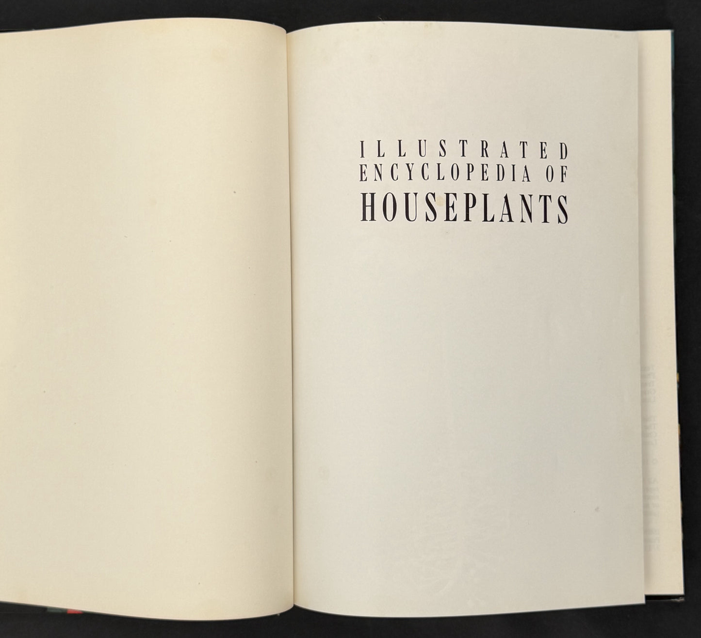 Illustrated Encyclopedia of Houseplants by Anna Skalická, Rudolf Šubík