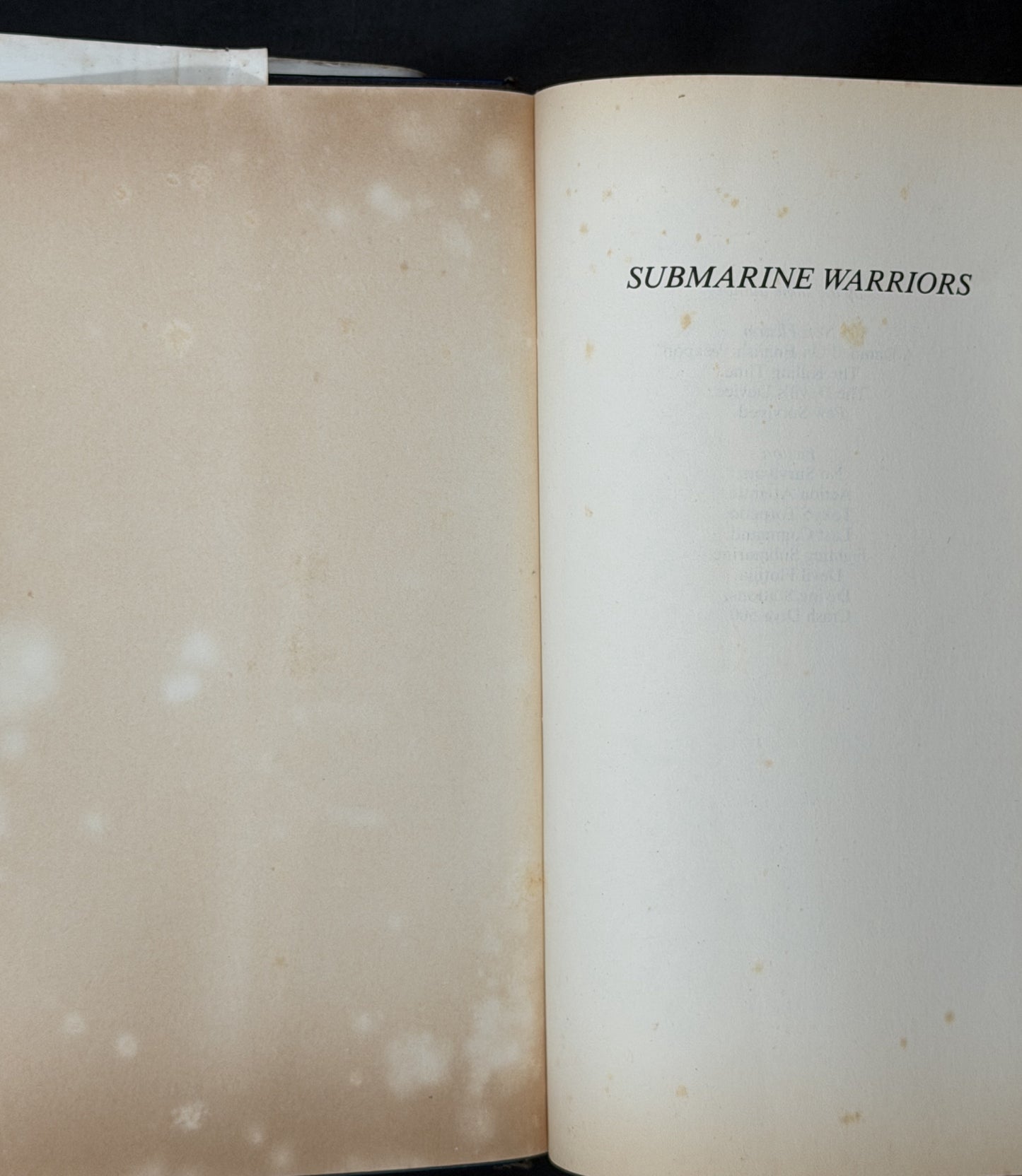 Submarine Warriors by Edwyn Gray