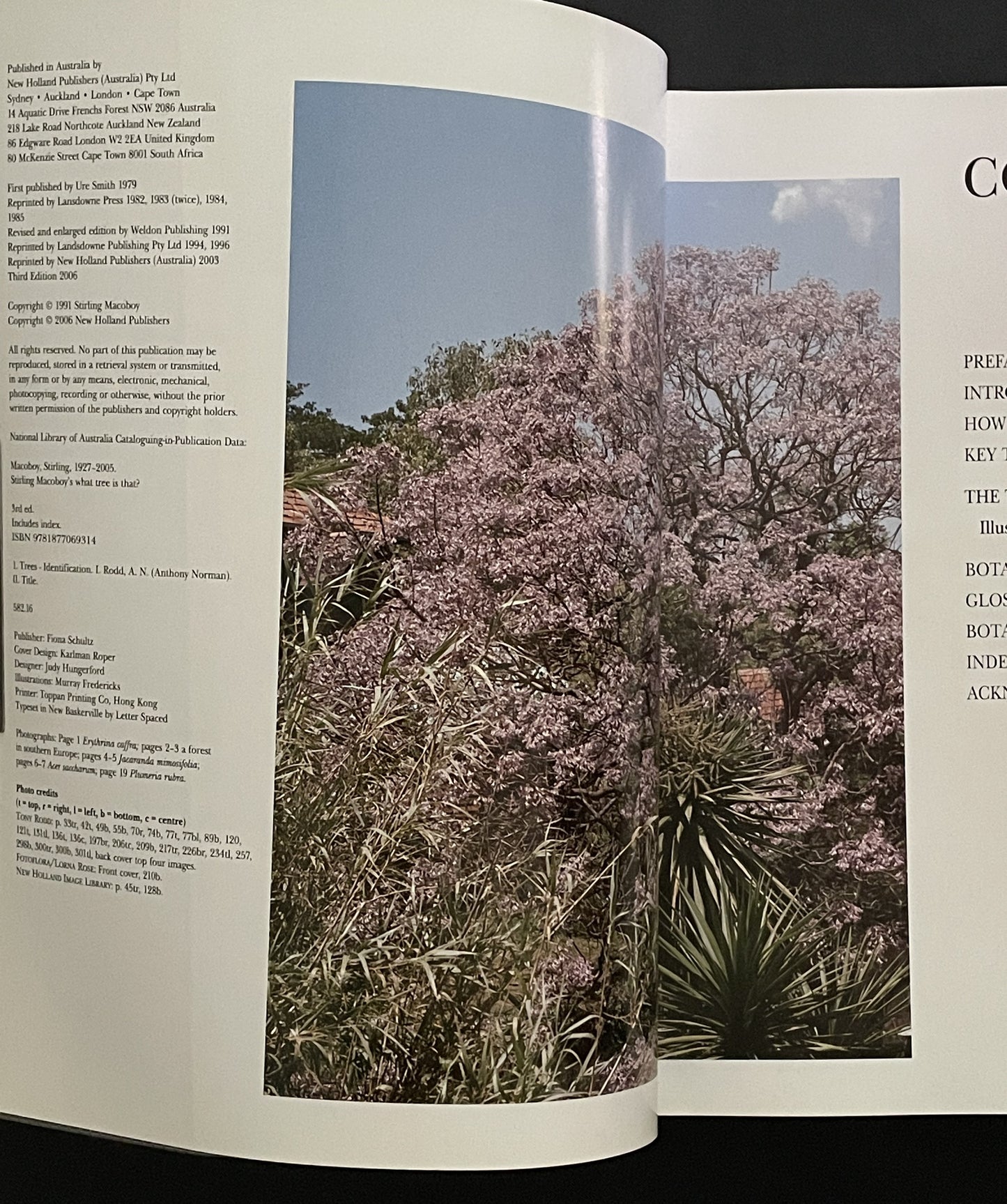 What Tree Is That? 3rd Edition by Stirling Macoboy