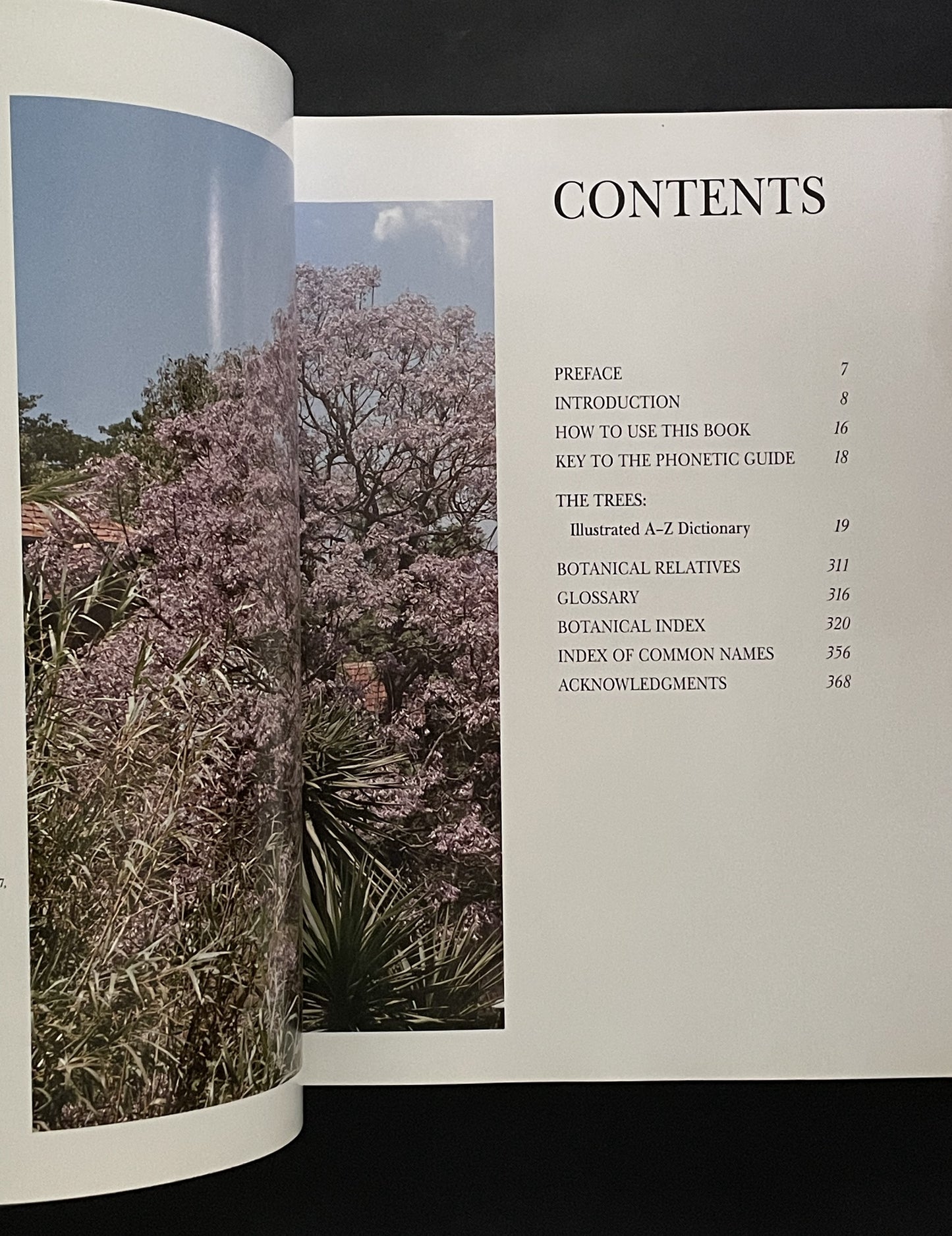 What Tree Is That? 3rd Edition by Stirling Macoboy
