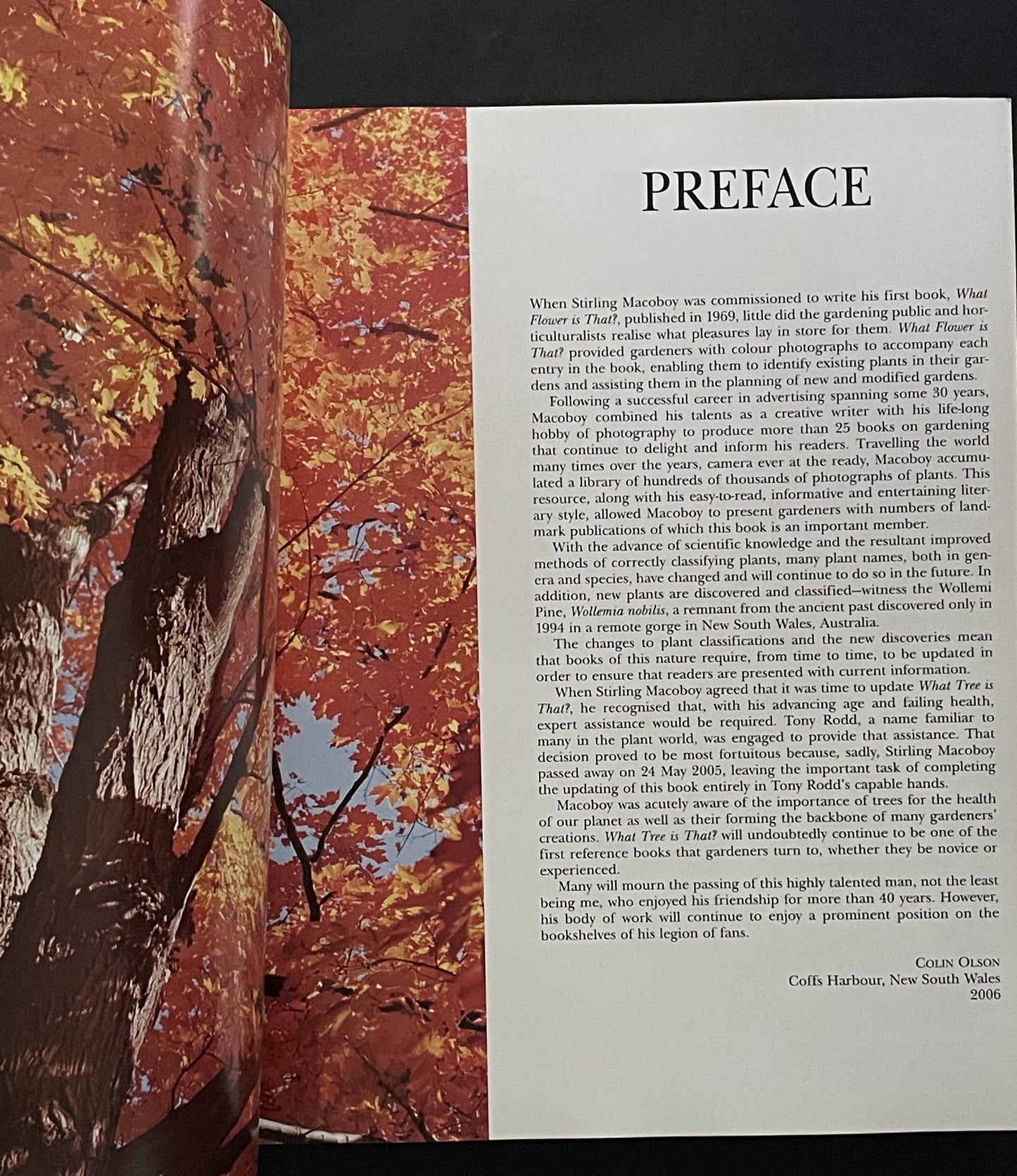 What Tree Is That? 3rd Edition by Stirling Macoboy