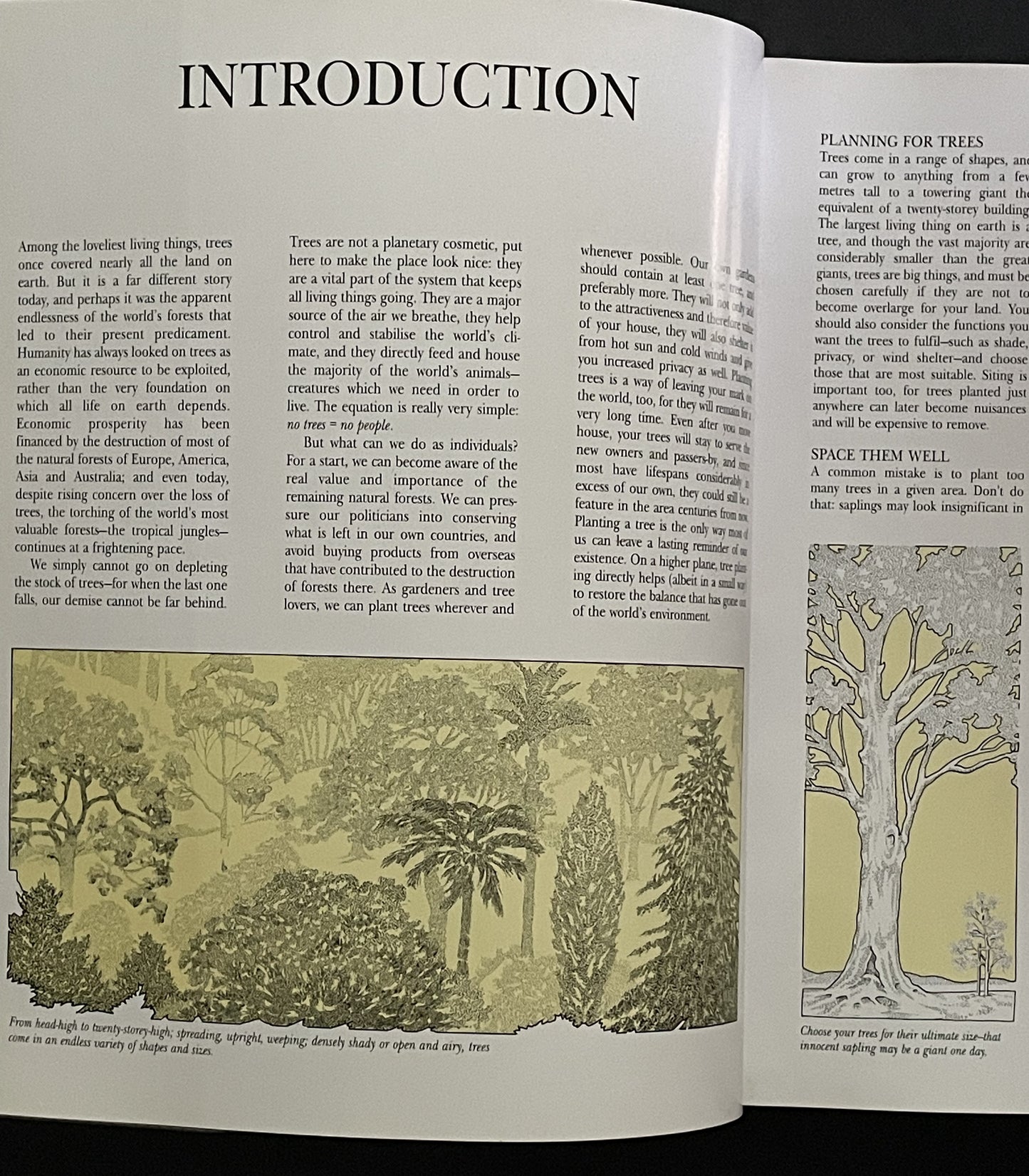 What Tree Is That? 3rd Edition by Stirling Macoboy