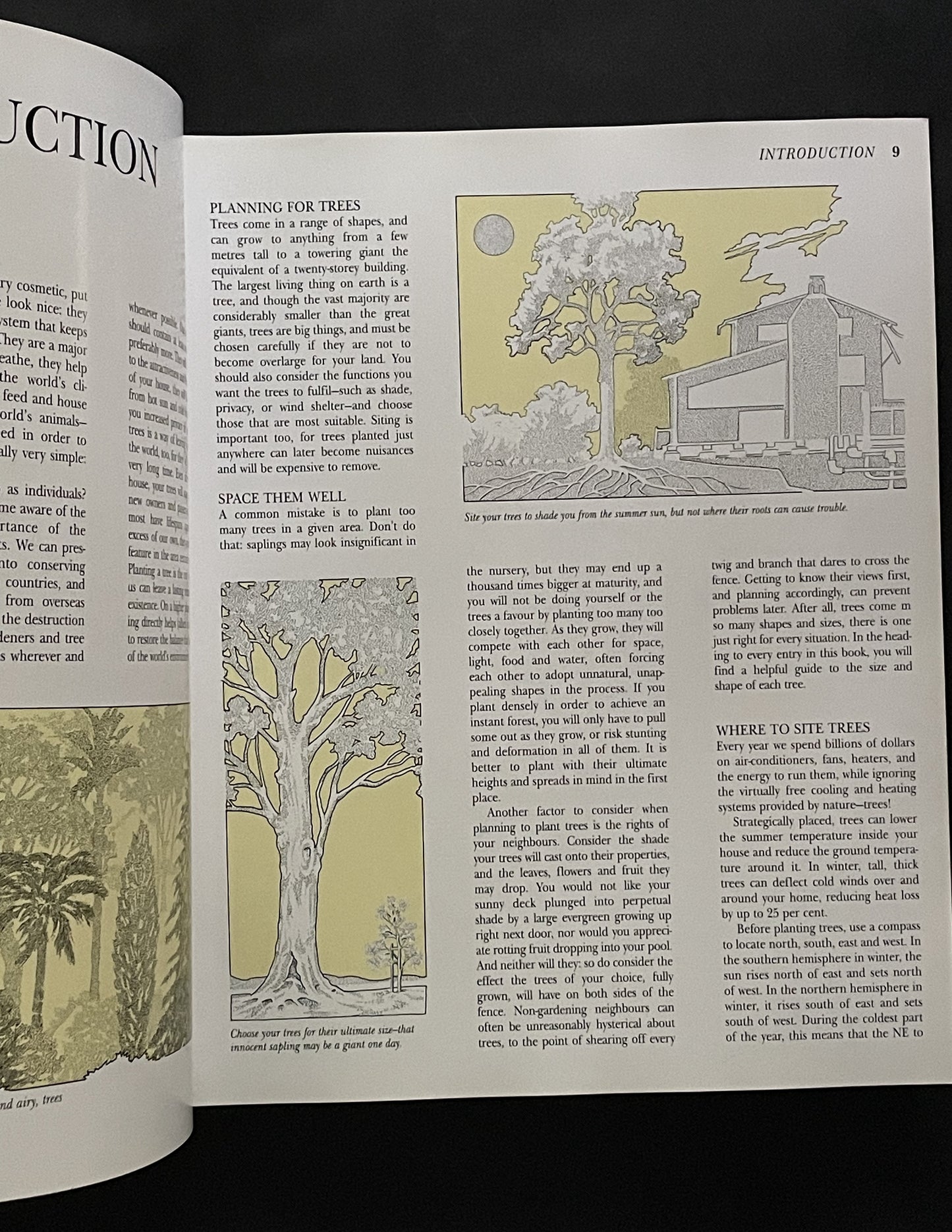 What Tree Is That? 3rd Edition by Stirling Macoboy