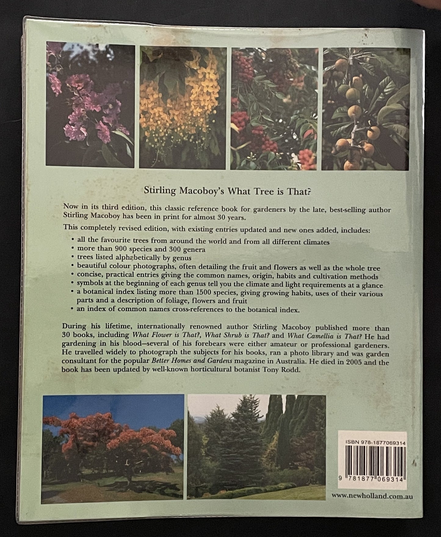 What Tree Is That? 3rd Edition by Stirling Macoboy