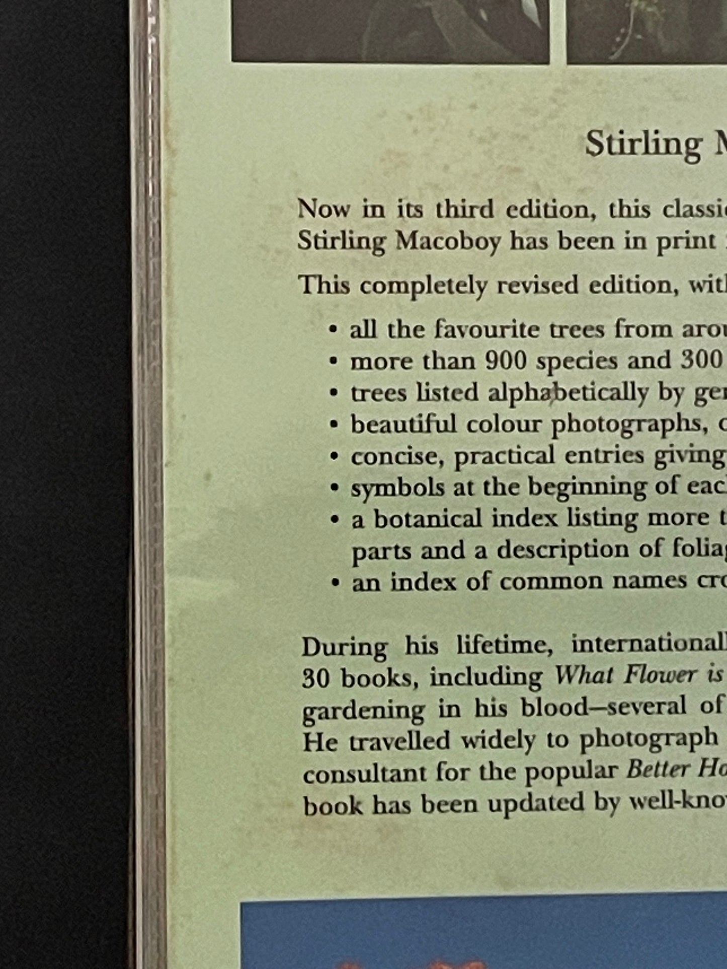 What Tree Is That? 3rd Edition by Stirling Macoboy