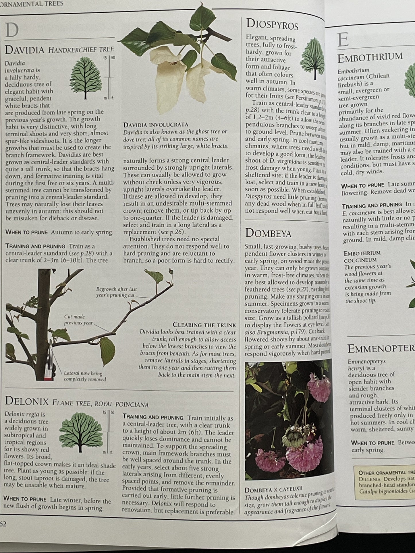 Royal Horticultural Society Pruning & Training by Christopher Brickell & David Joyce