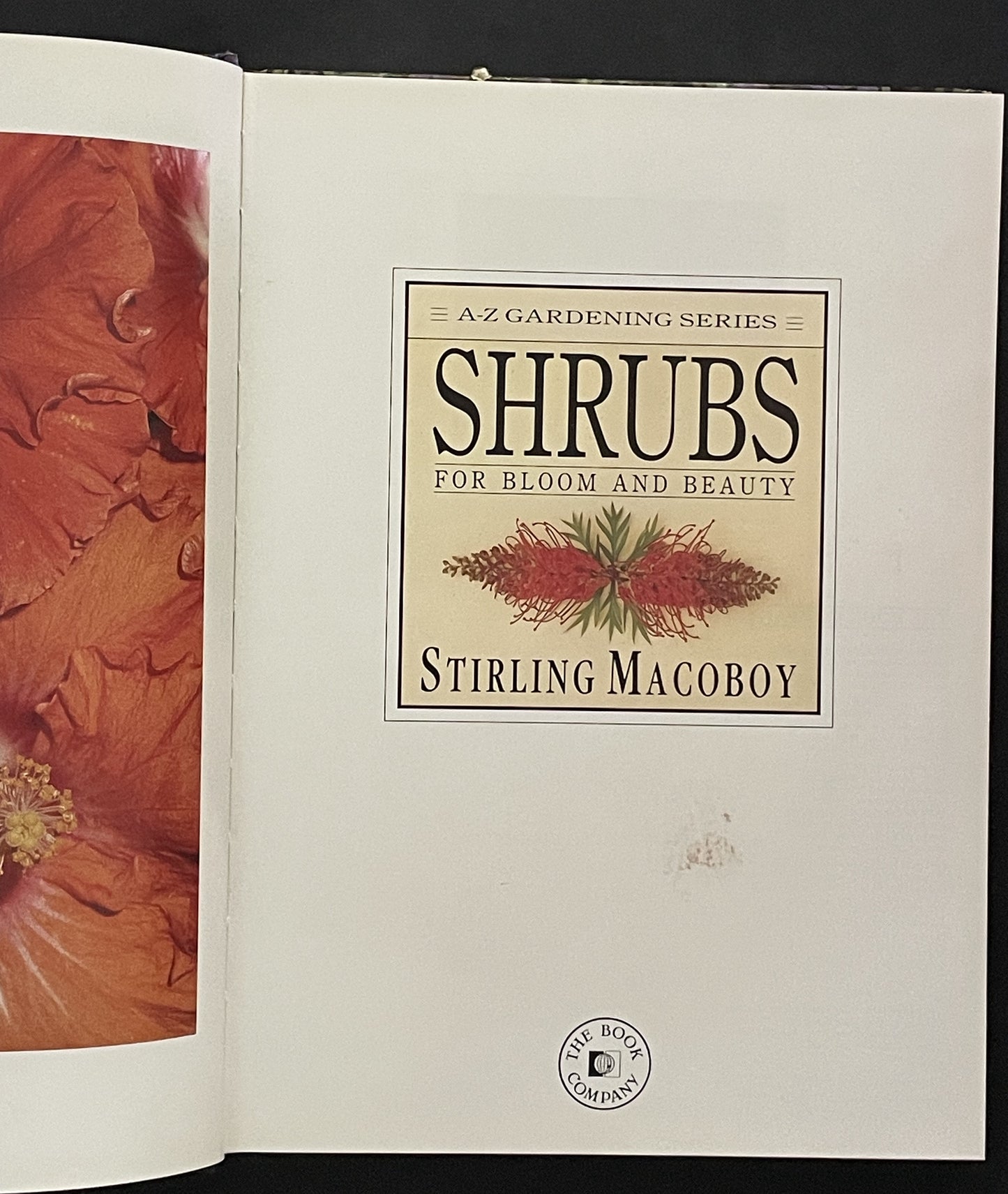 Shrubs for Bloom and Beauty by Stirling Macoboy