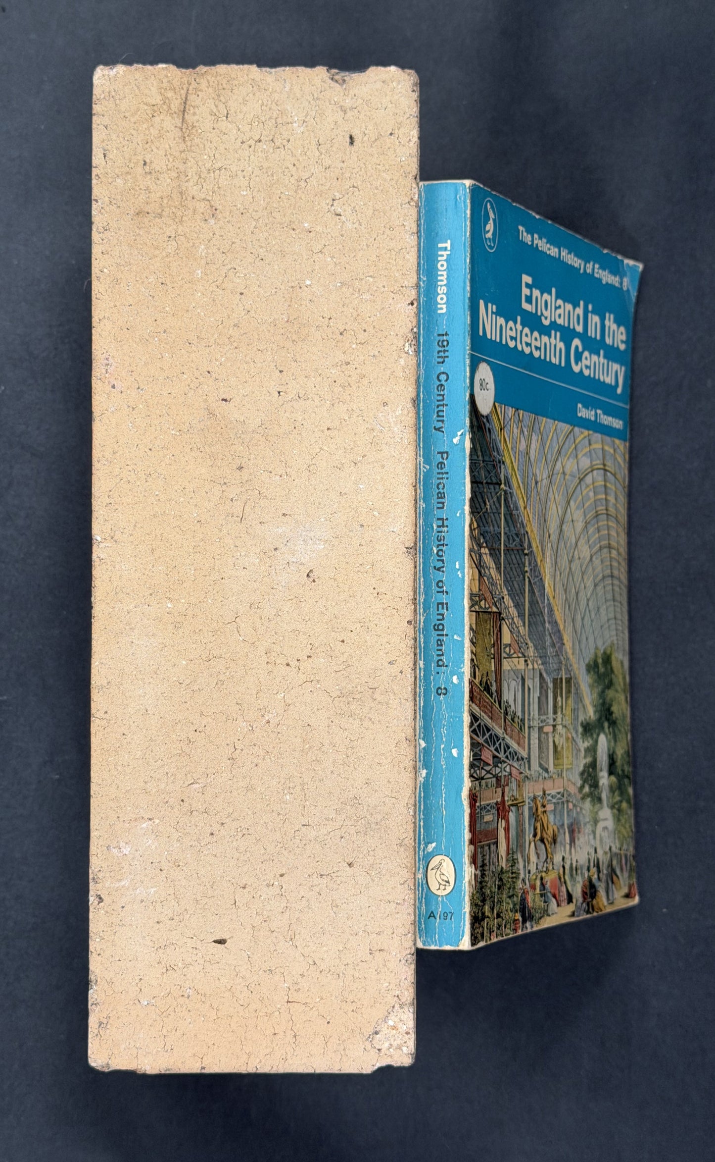 England in the Nineteenth Century by David Thomson