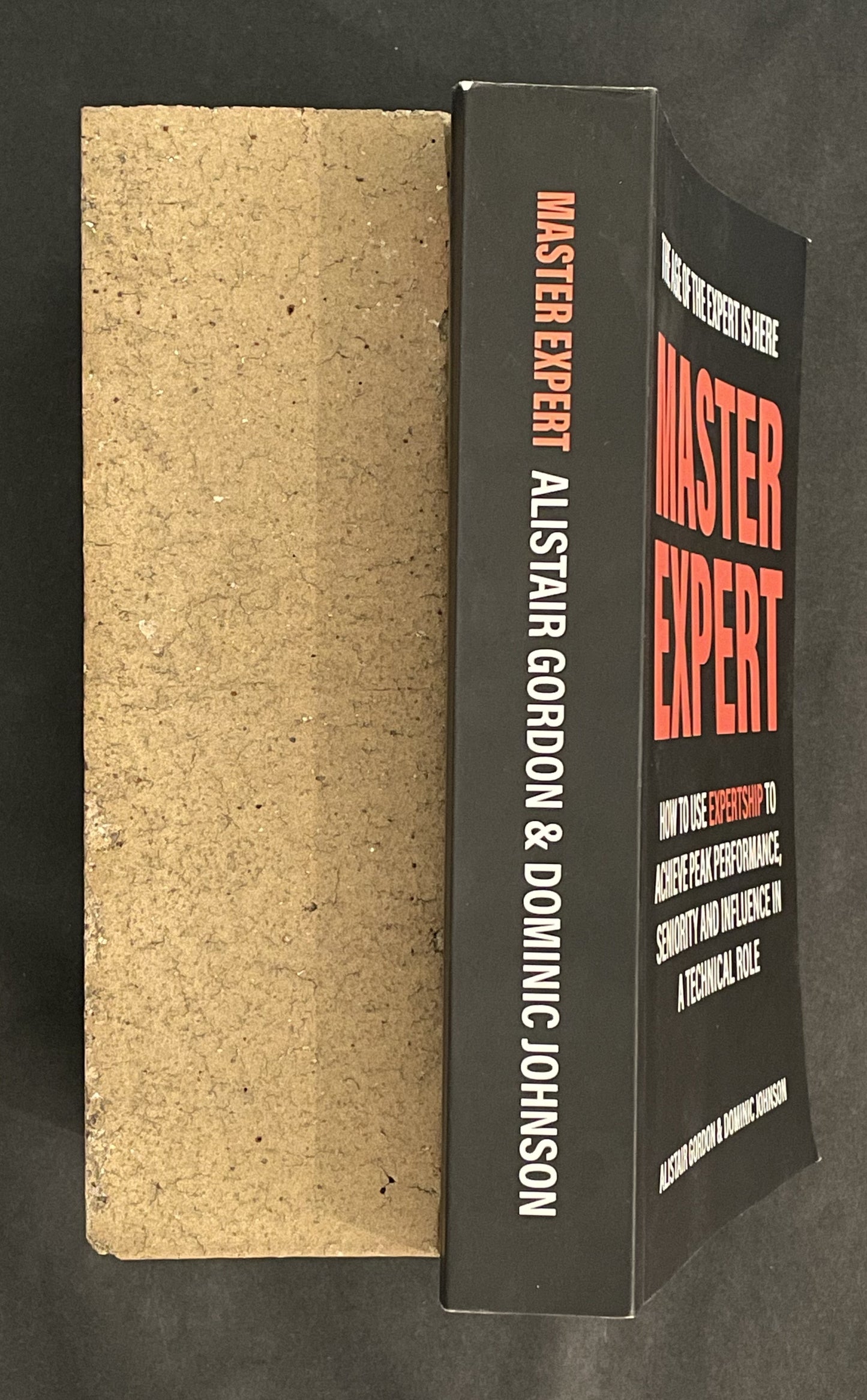 Master Expert by Alistair Gordon & Dominic Johnson