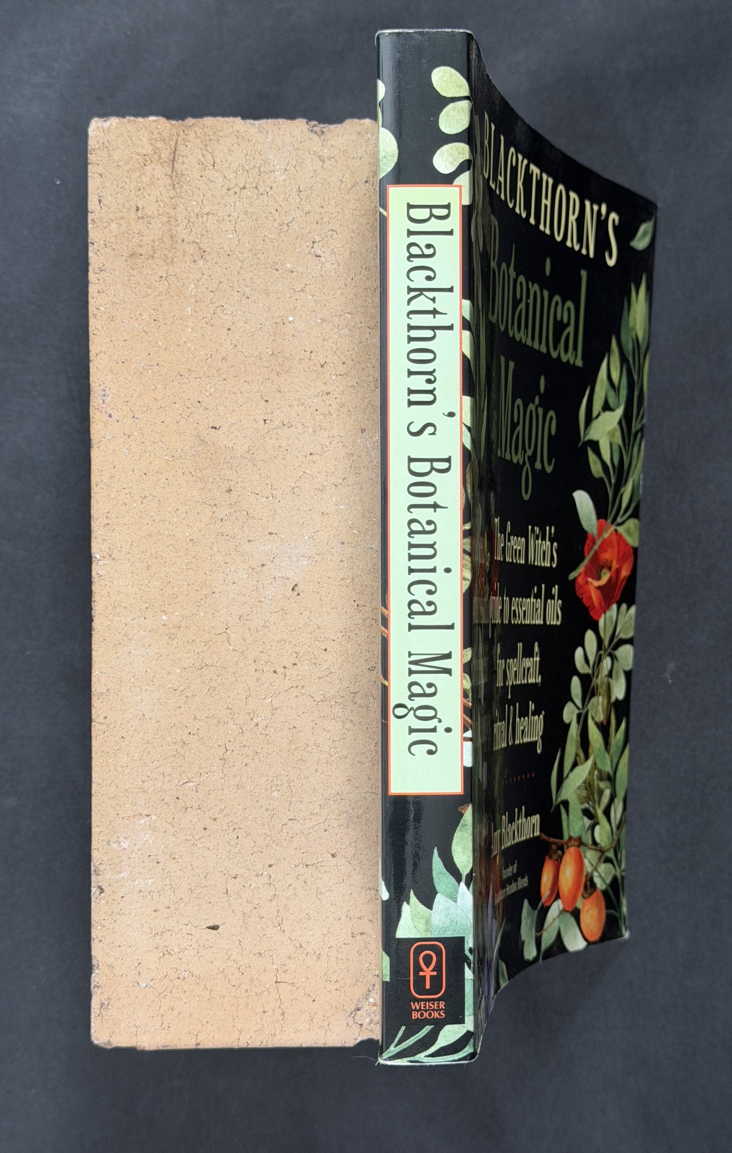 Blackthorn's Botanical Magic by Amy Blackthorn