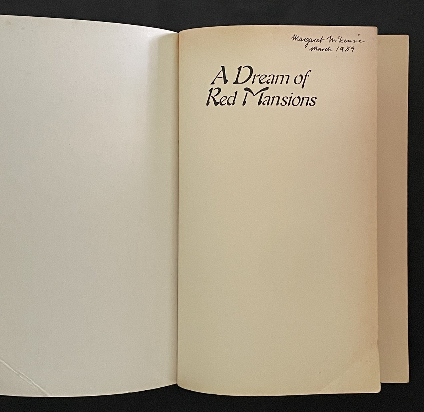 A Dream of Red Mansions