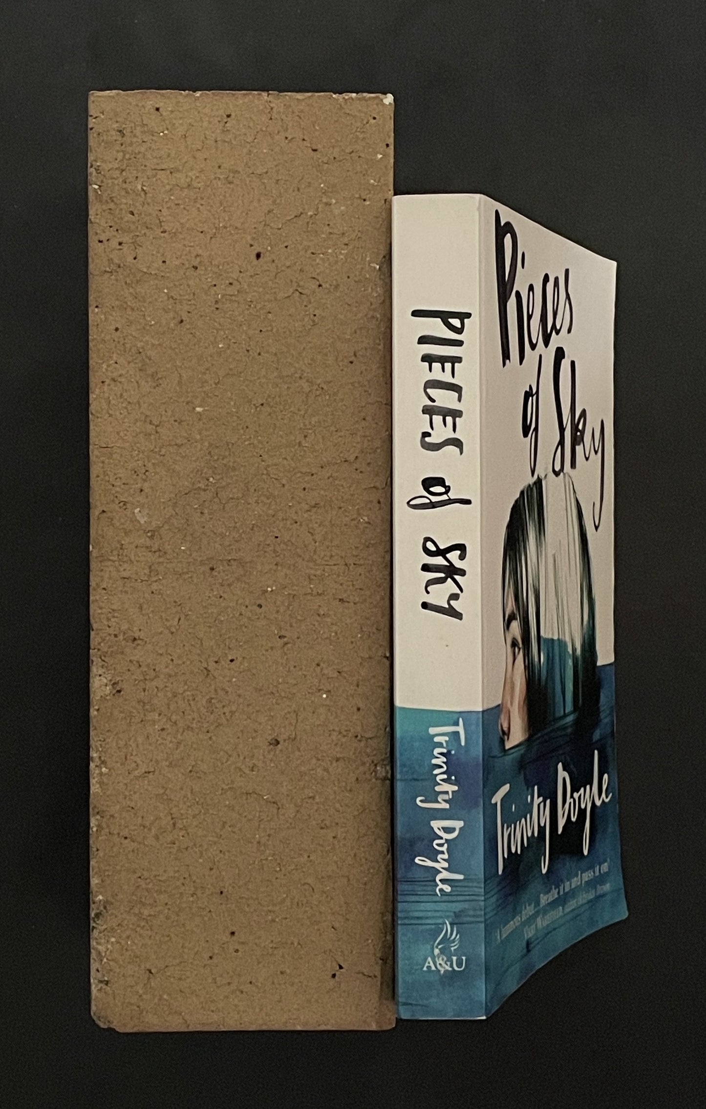 Pieces of Sky by Trinity Doyle