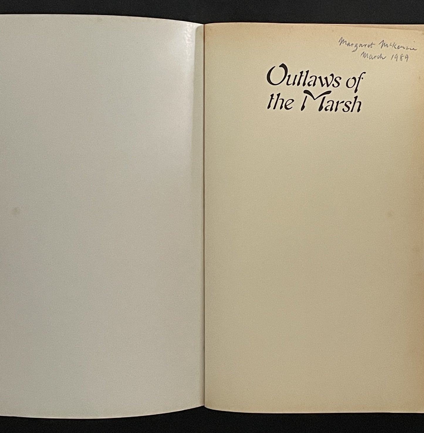 Outlaws of the Marsh by Nai'an Shi, Guanzhong Luo