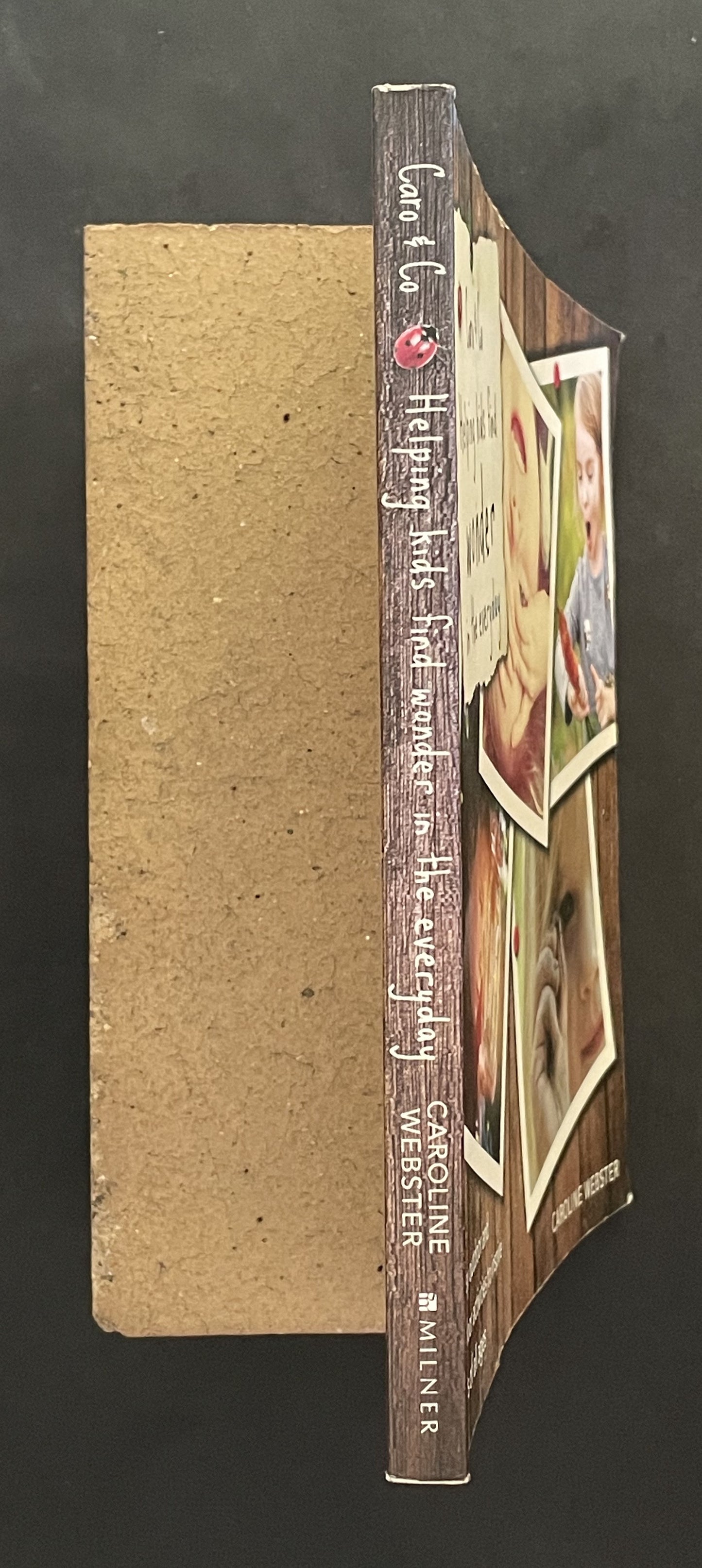 Helping Kids Find Wonder in the Everyday by C. Webster