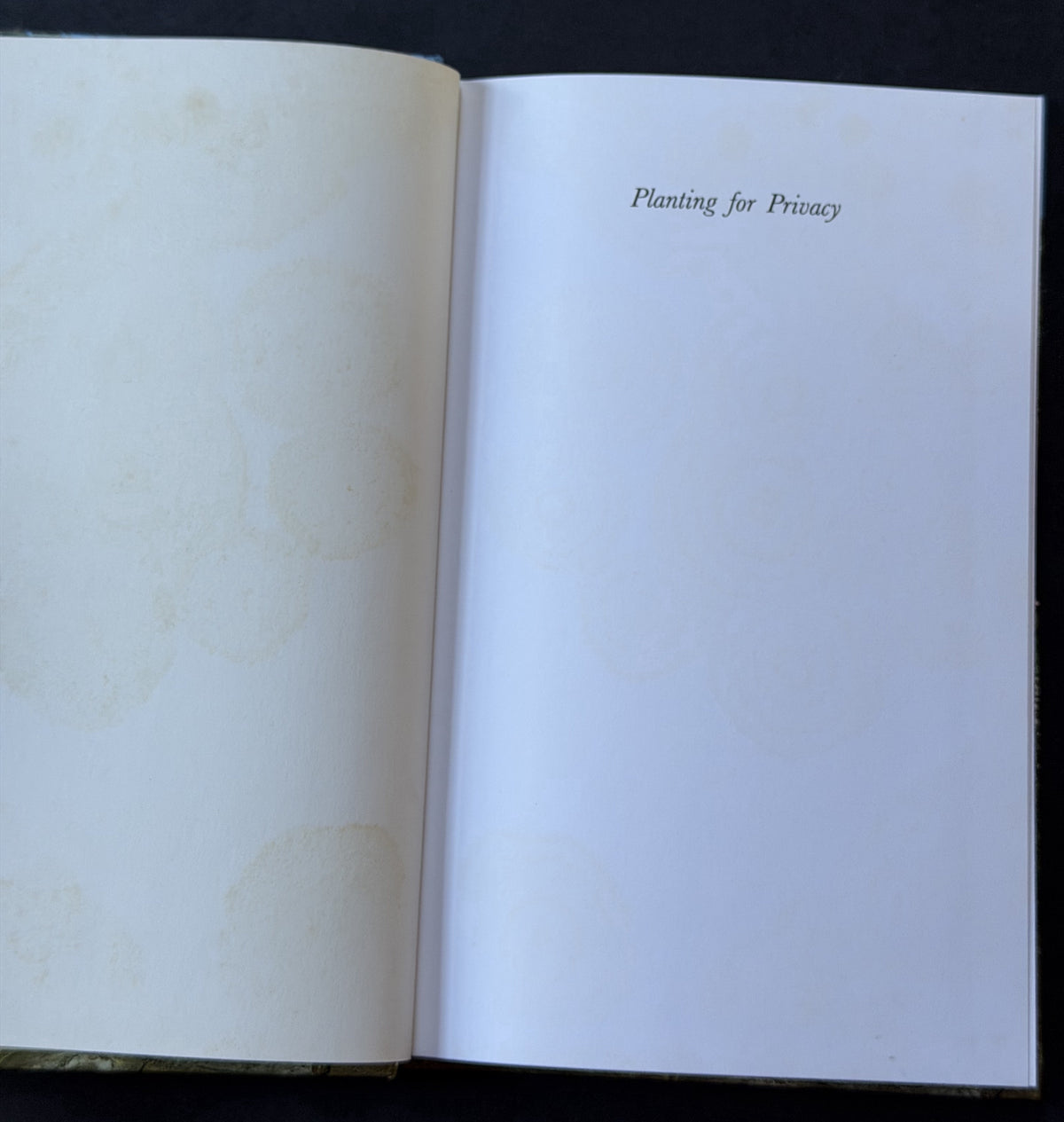 Planting for Privacy by Judy Horton