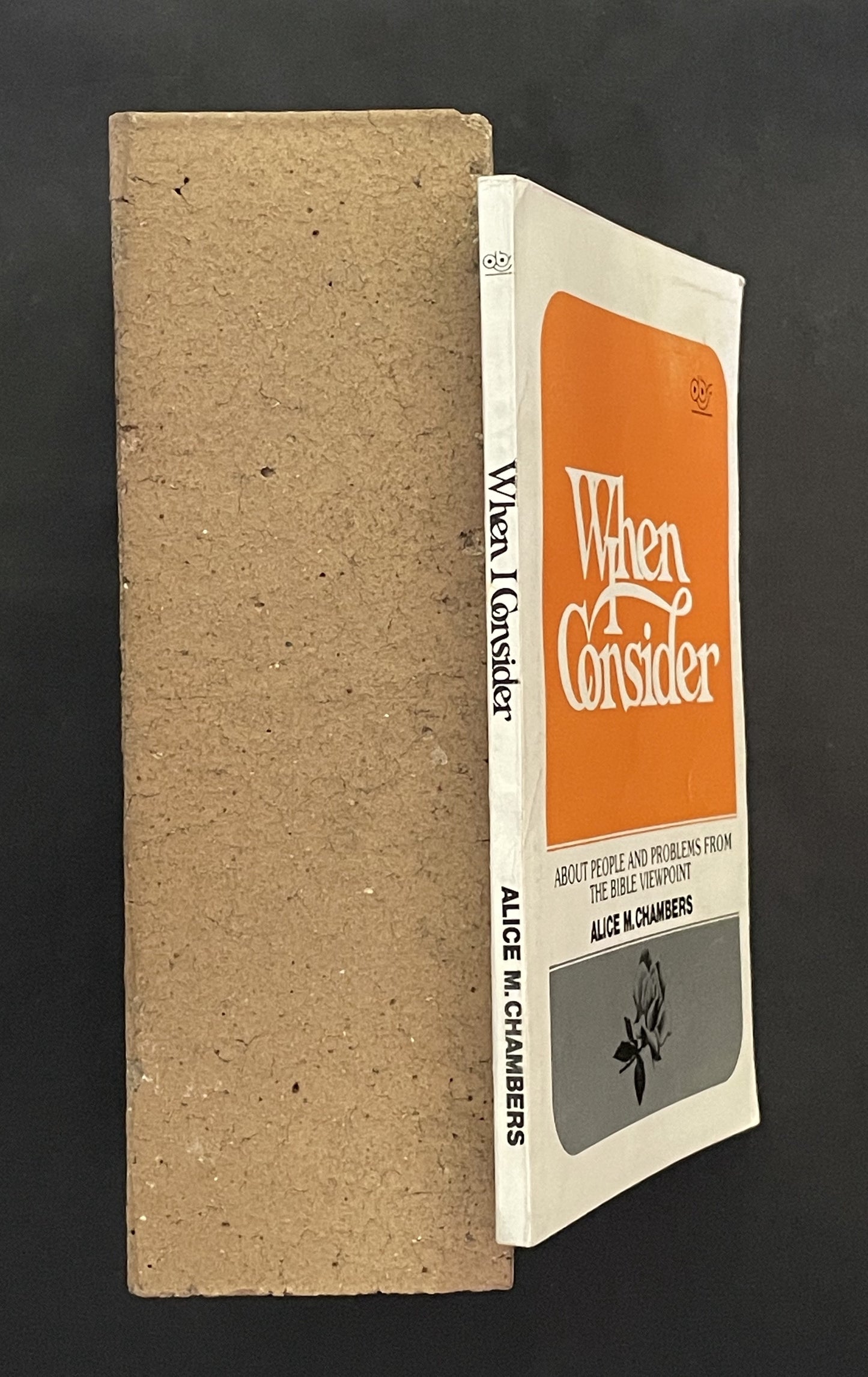 When I Consider by Alice M. Chambers