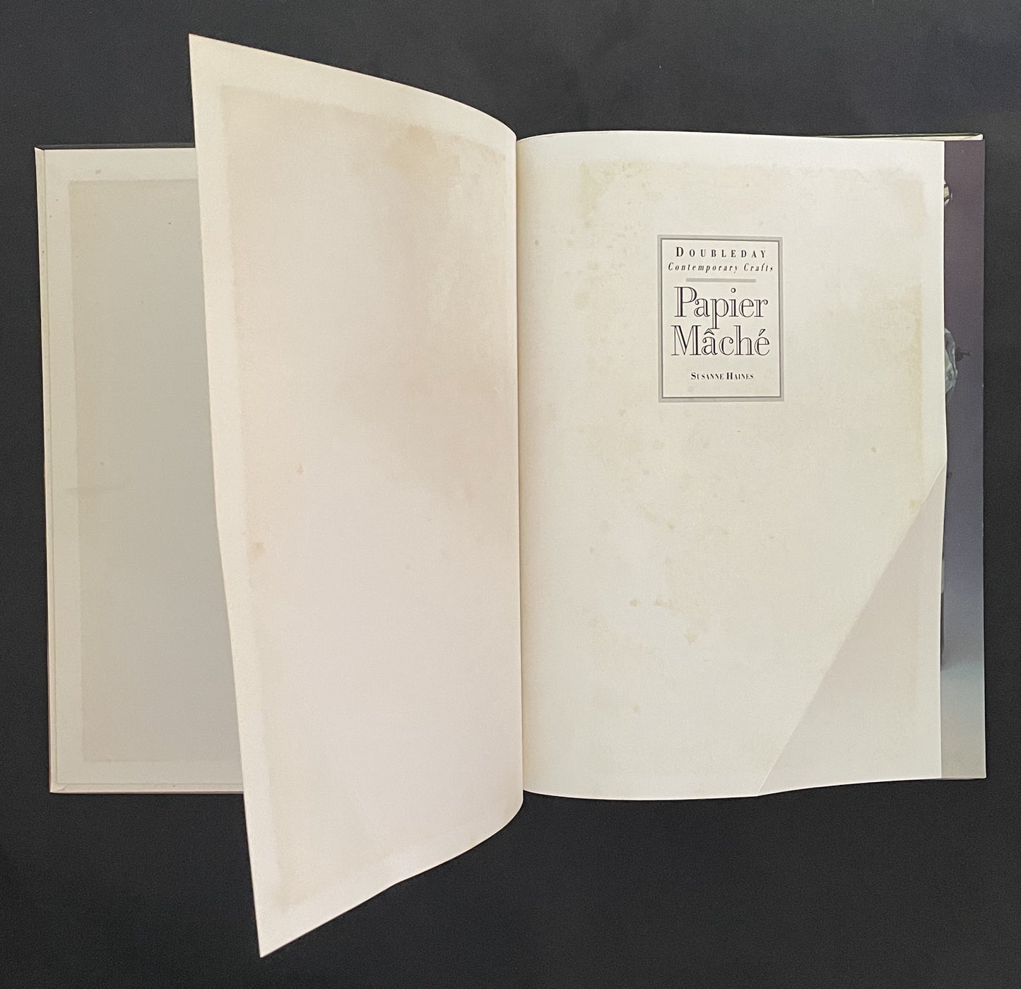 Papier Mâché by Susanne Haines