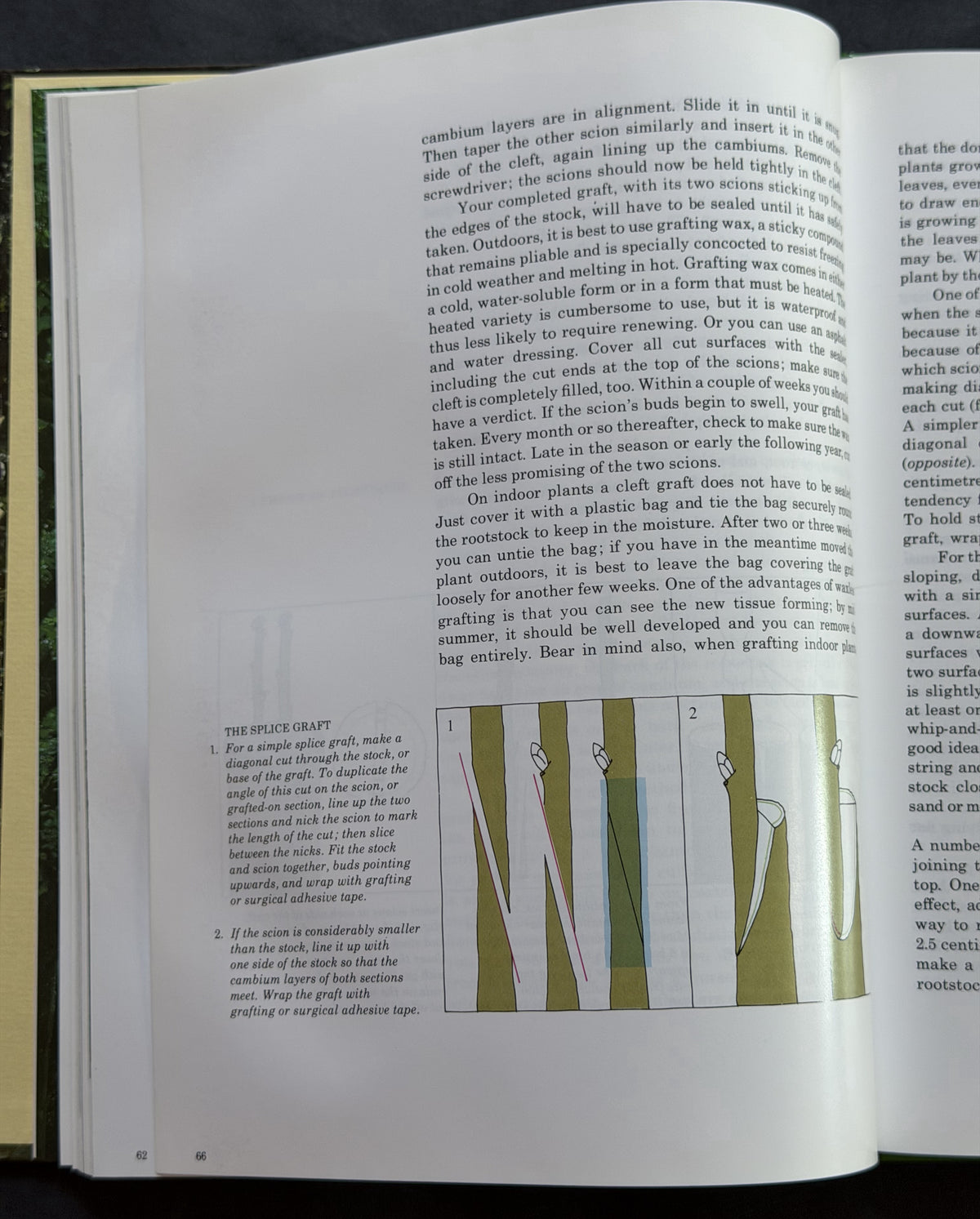 Pruning and Grafting by Oliver E. Allen