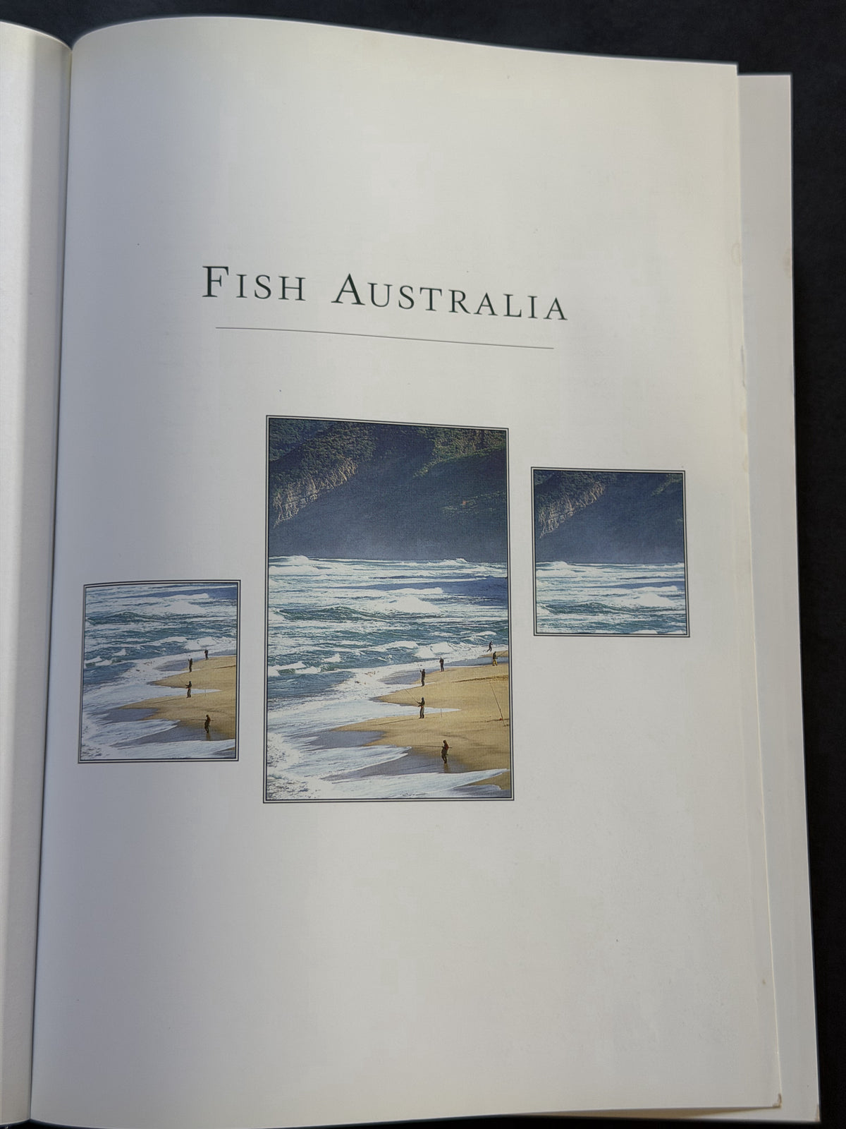 Fish Australia by John Ross