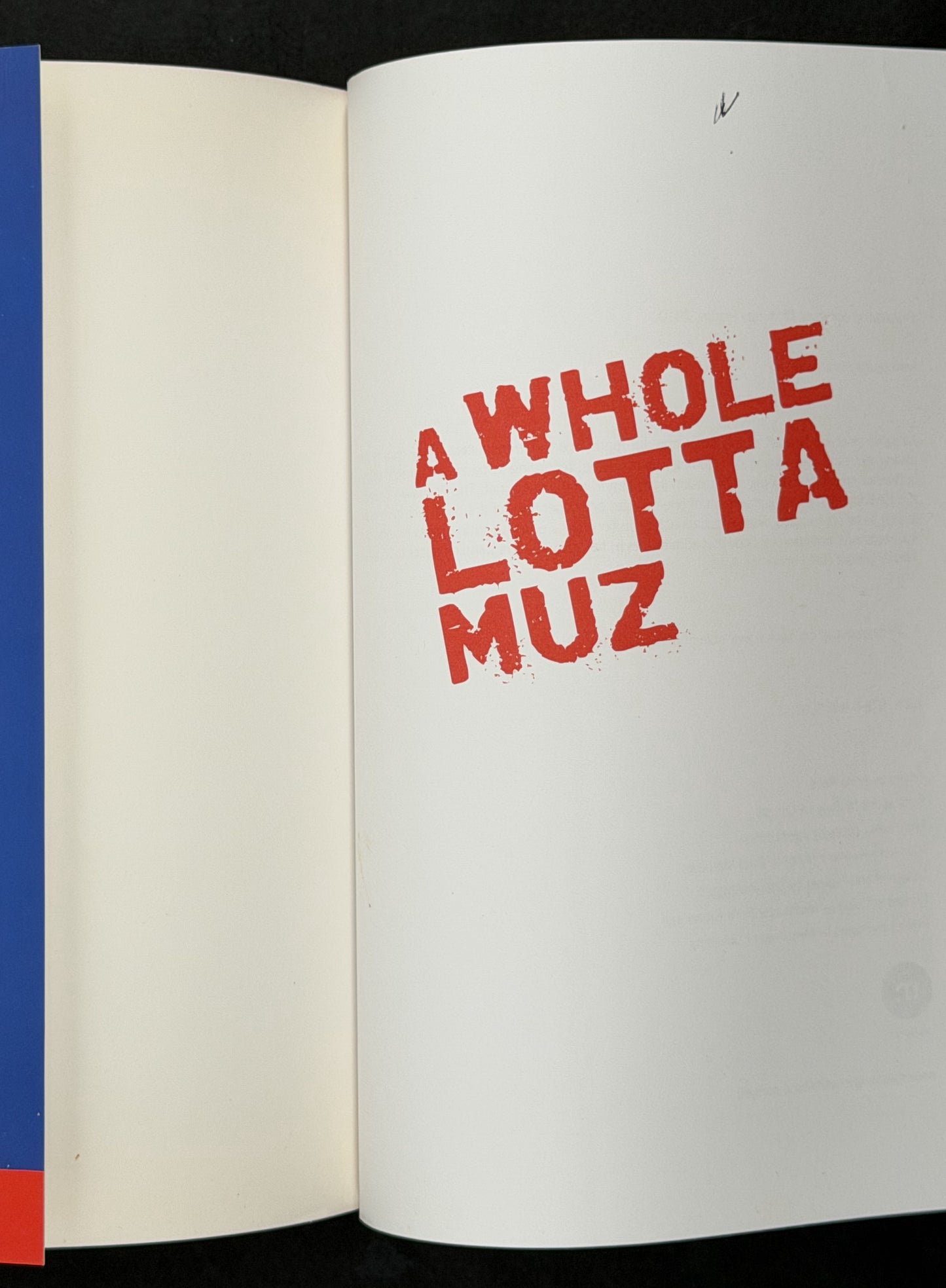 A Whole Lotta Muz by Murray Hartin