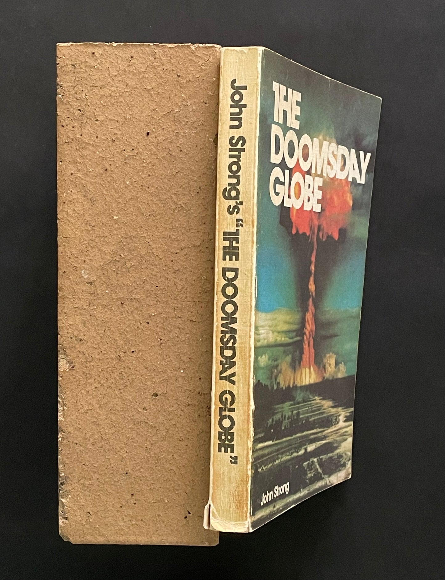 The Doomsday Globe by John Strong