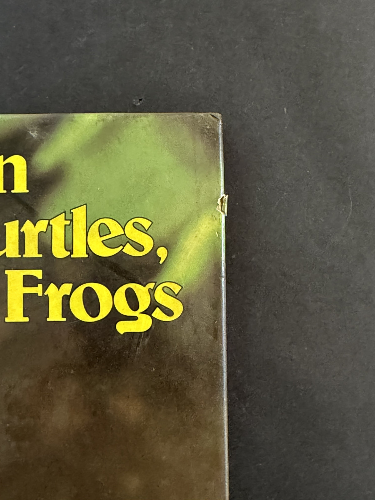 Australian Crocodiles, Turtles, Tortoises and Frogs by Bay Books