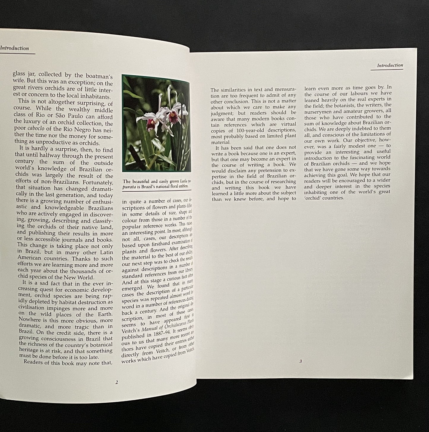 Orchids of Brazil by James McQueen, Jim McQueen, Barbara McQueen