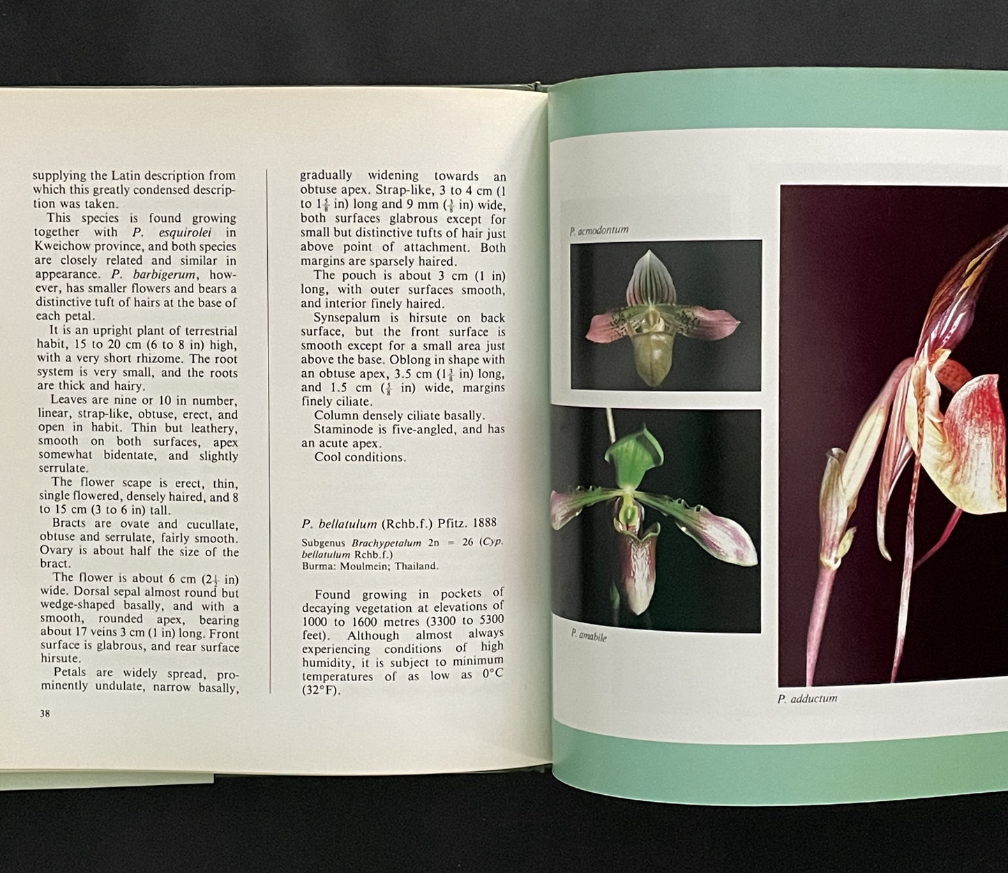 The Tropical Asiatic Slipper Orchids by Keith Stanley Bennett