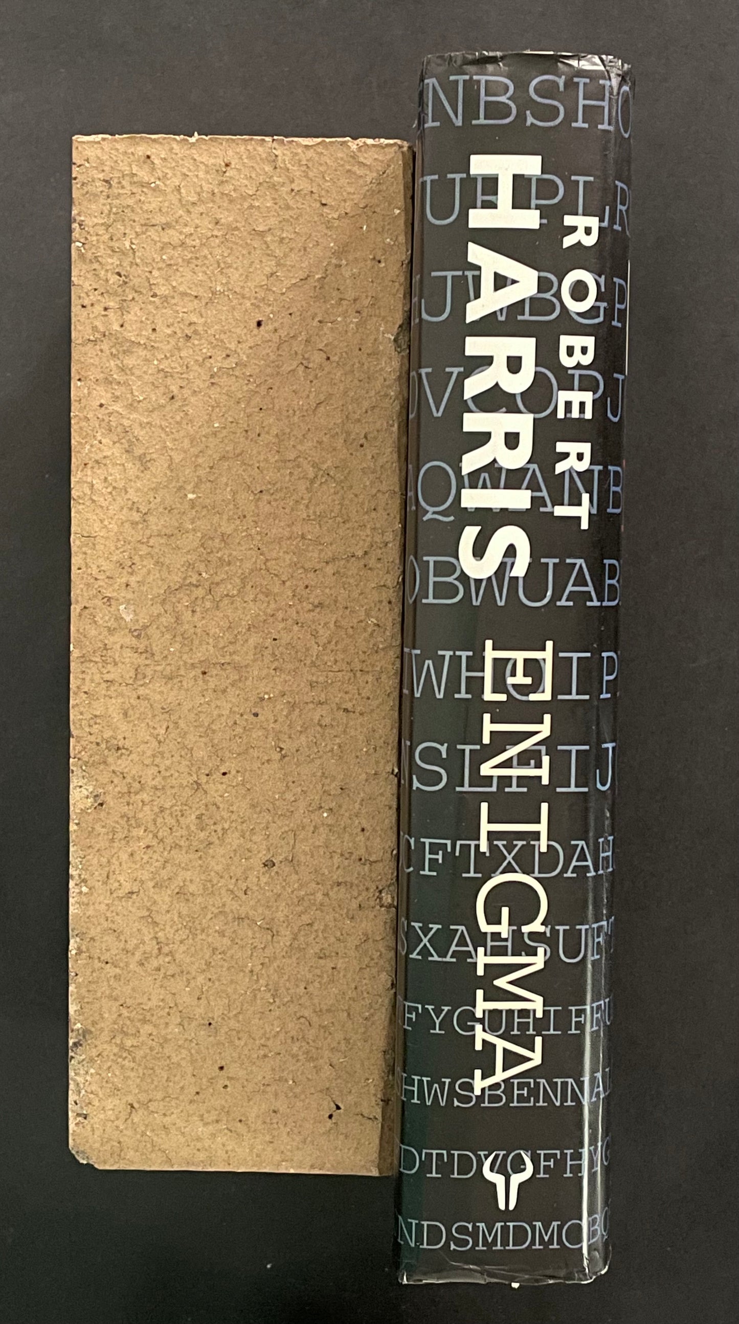 Enigma by Robert Harris