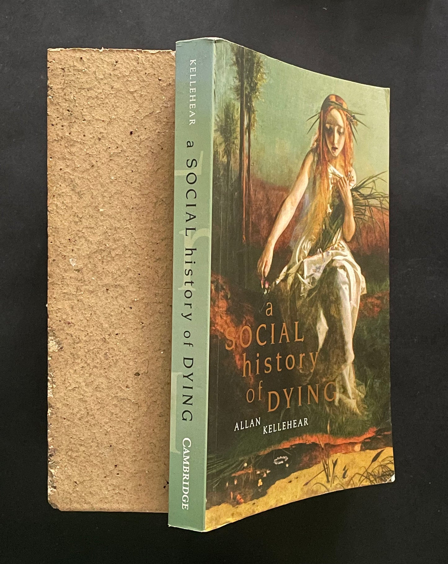 A Social History of Dying by Allan Kellehear