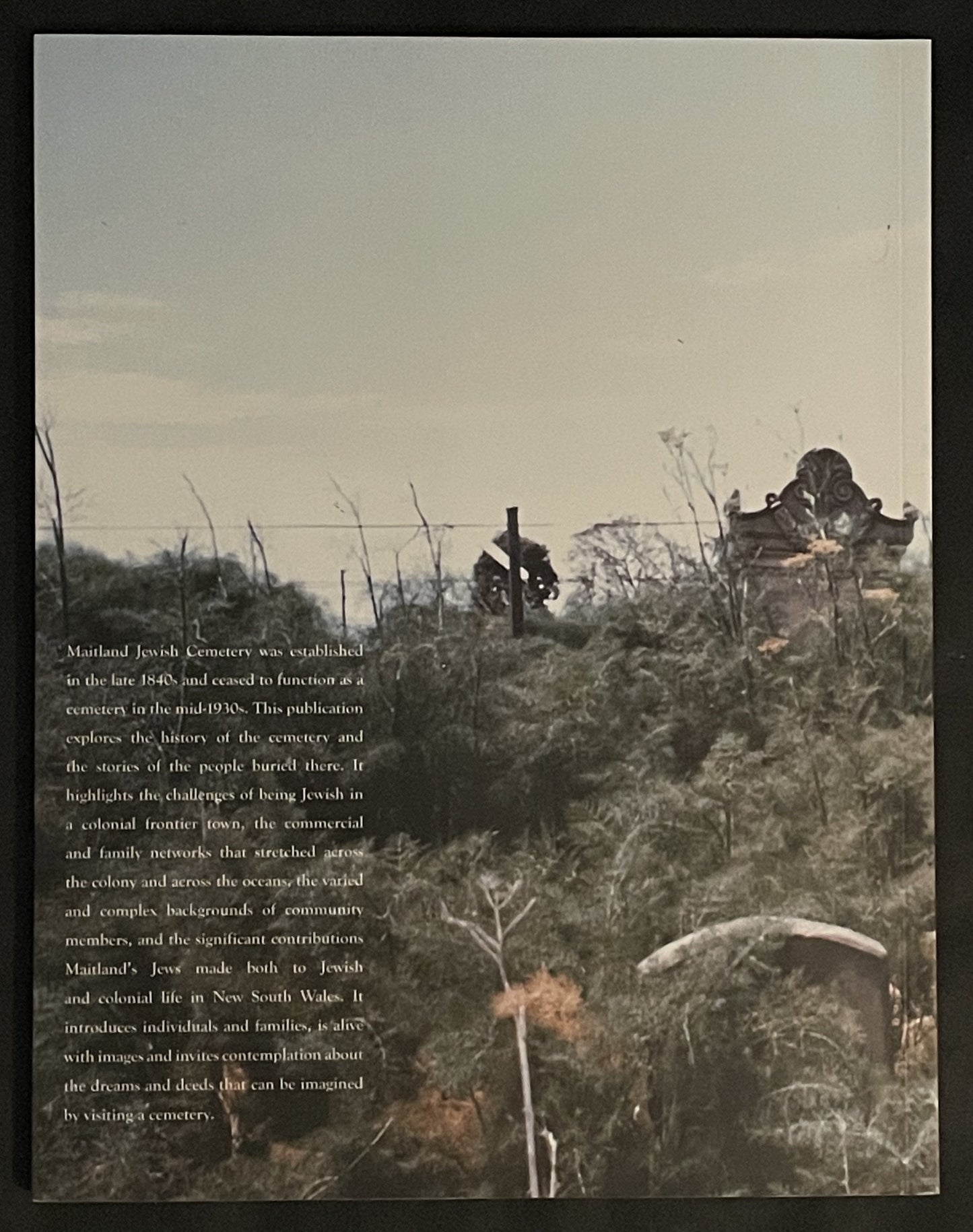 Maitland Jewish Cemetary by Janis Wilton