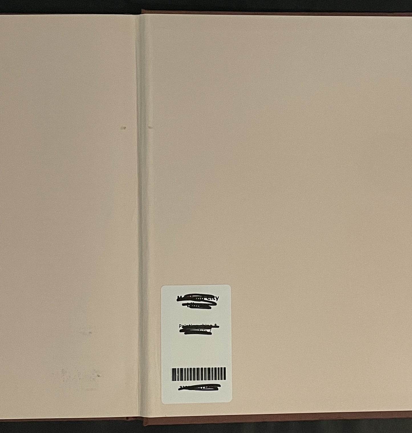 Painting China & Porcelain by Sheila Southwell