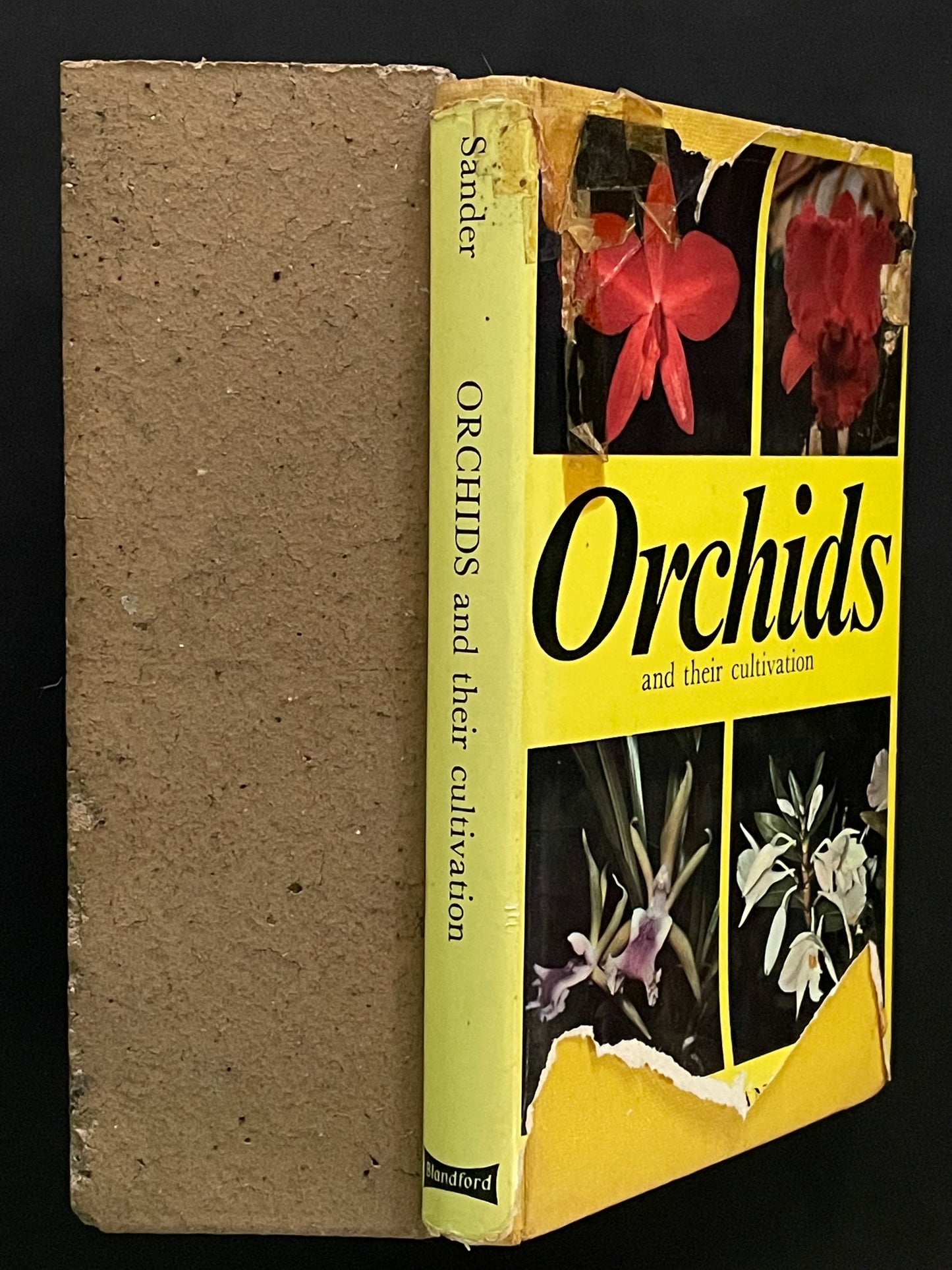 Orchids and their cultivation by Sander