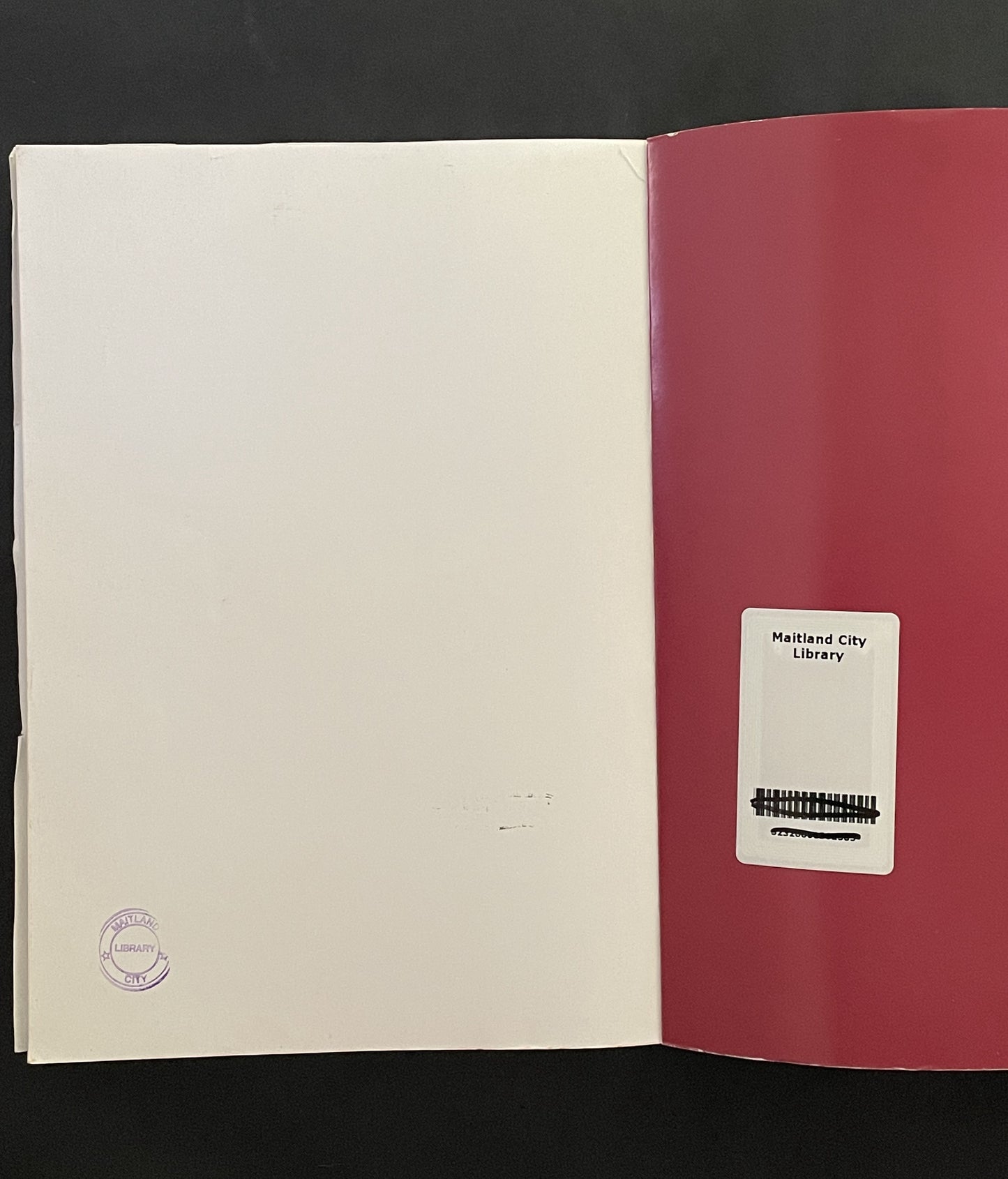 Connecting Kin by Kristy Thinee, Tracy Bradford