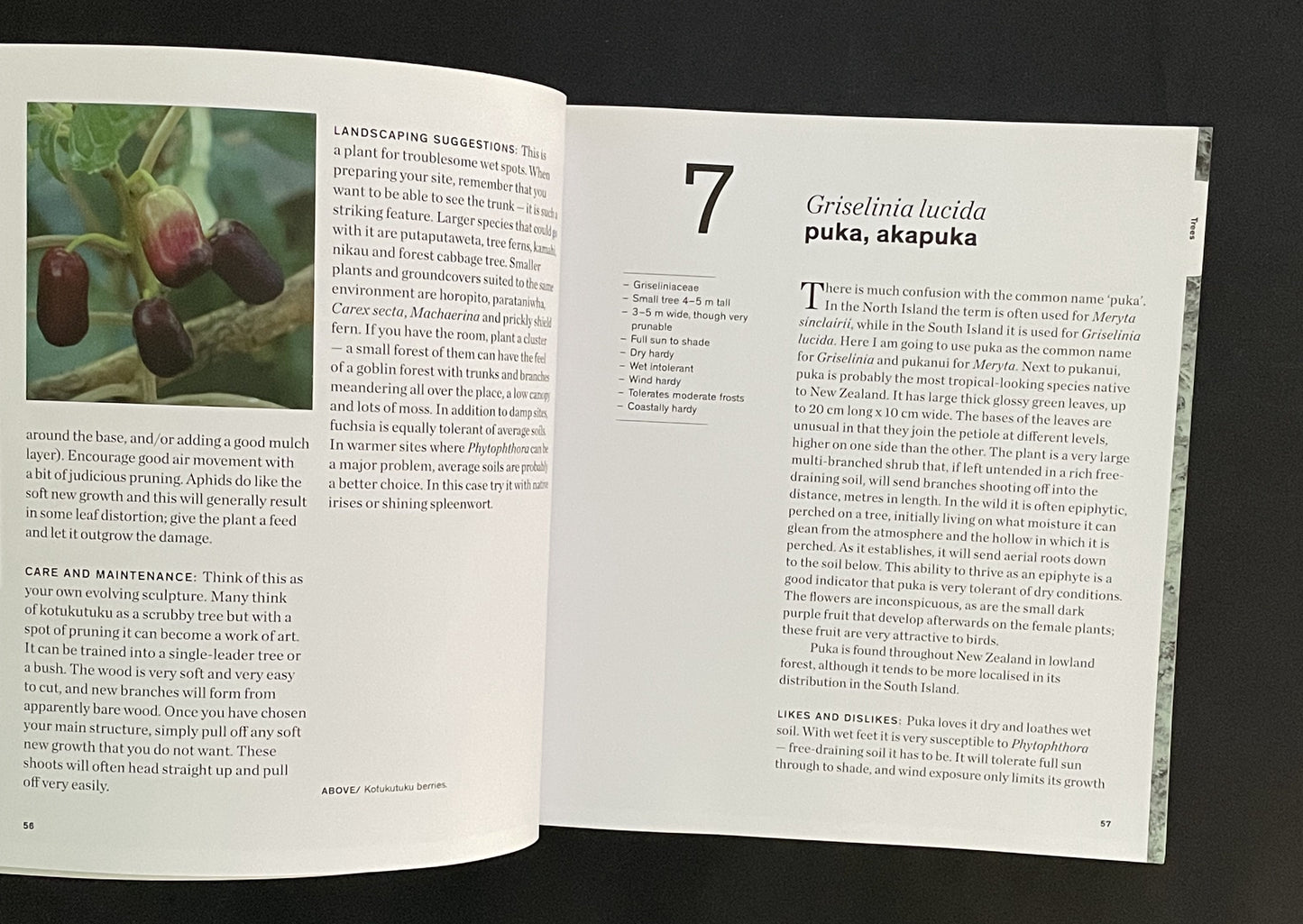 100 Best Native Plants for New Zealand Gardens by Fiona M. Eadie