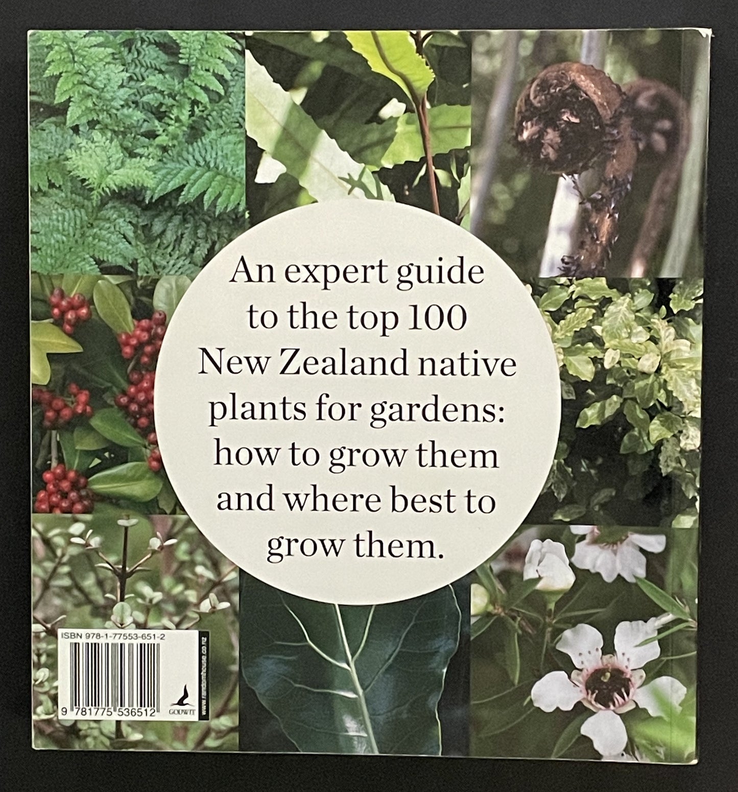 100 Best Native Plants for New Zealand Gardens by Fiona M. Eadie