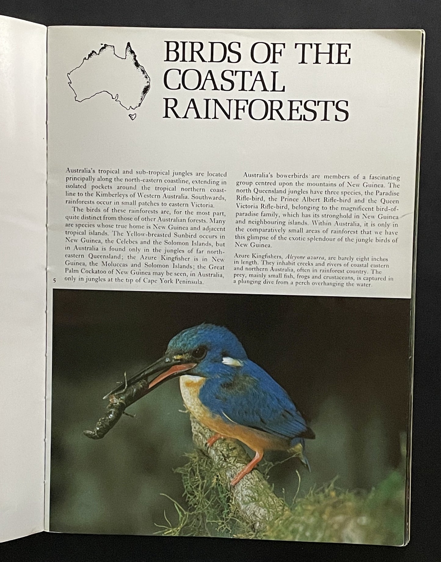 Michael Morcombe's Birds of Australia by Michael K. Morcombe