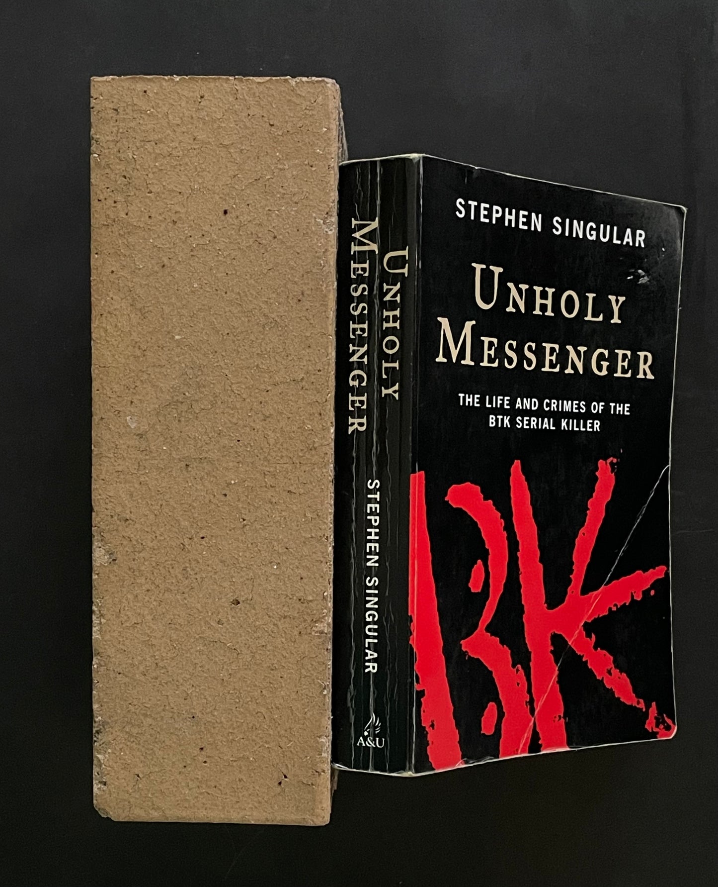 Unholy Messenger by Stephen Singular
